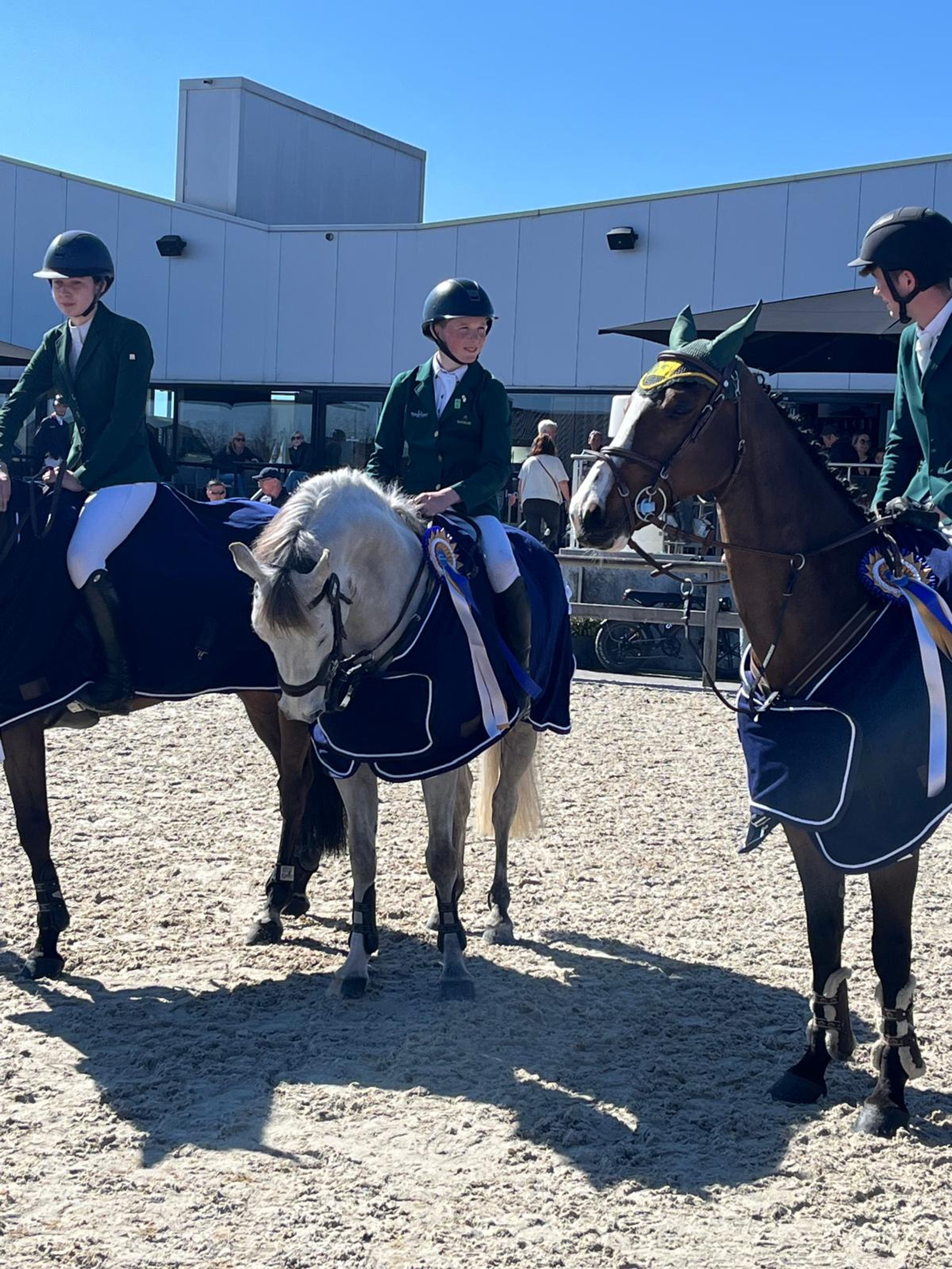 Western Ranger (MAXIMUM JO x -) - Image 2