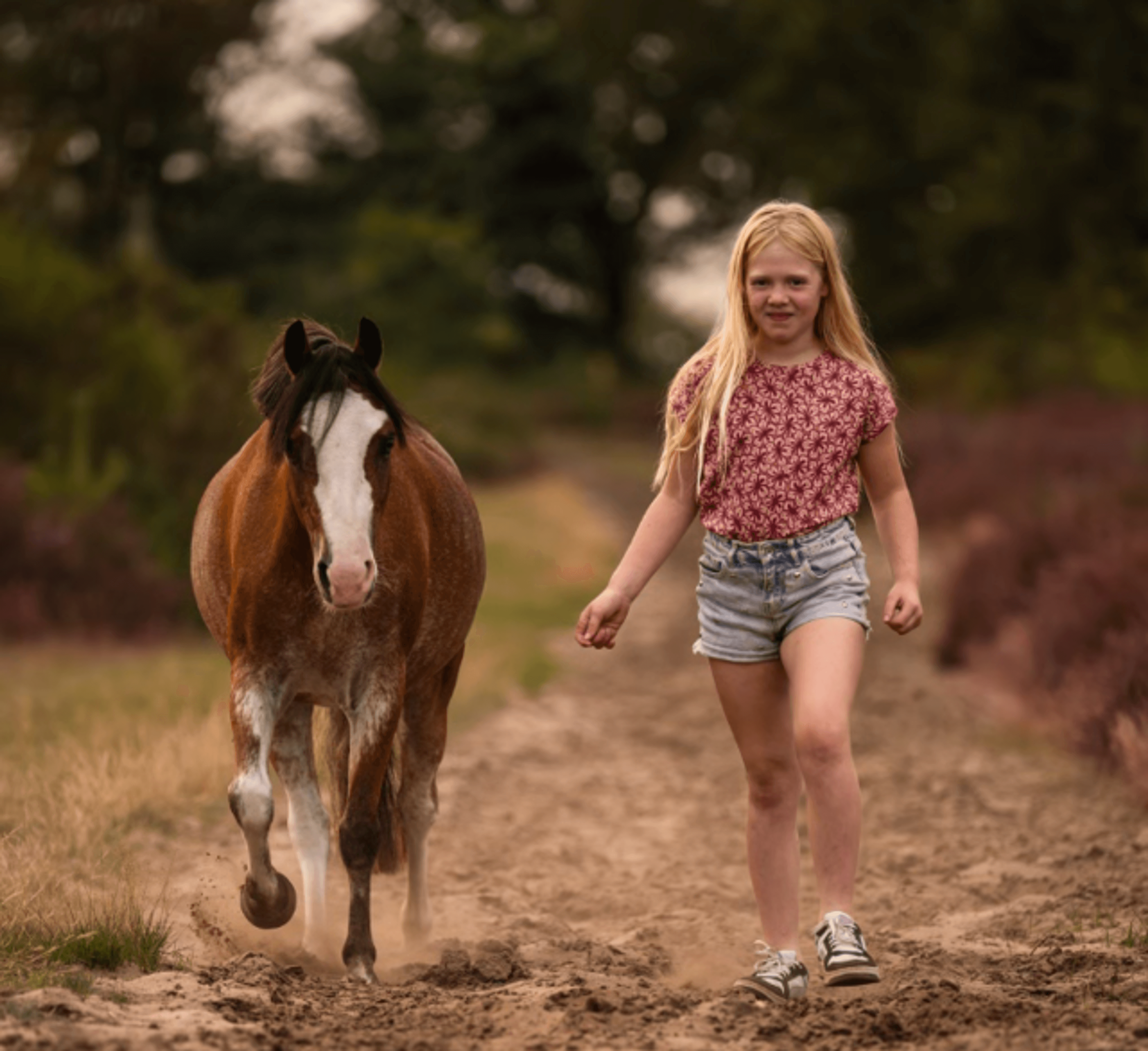 Noordhoeve's Makena - Image 3