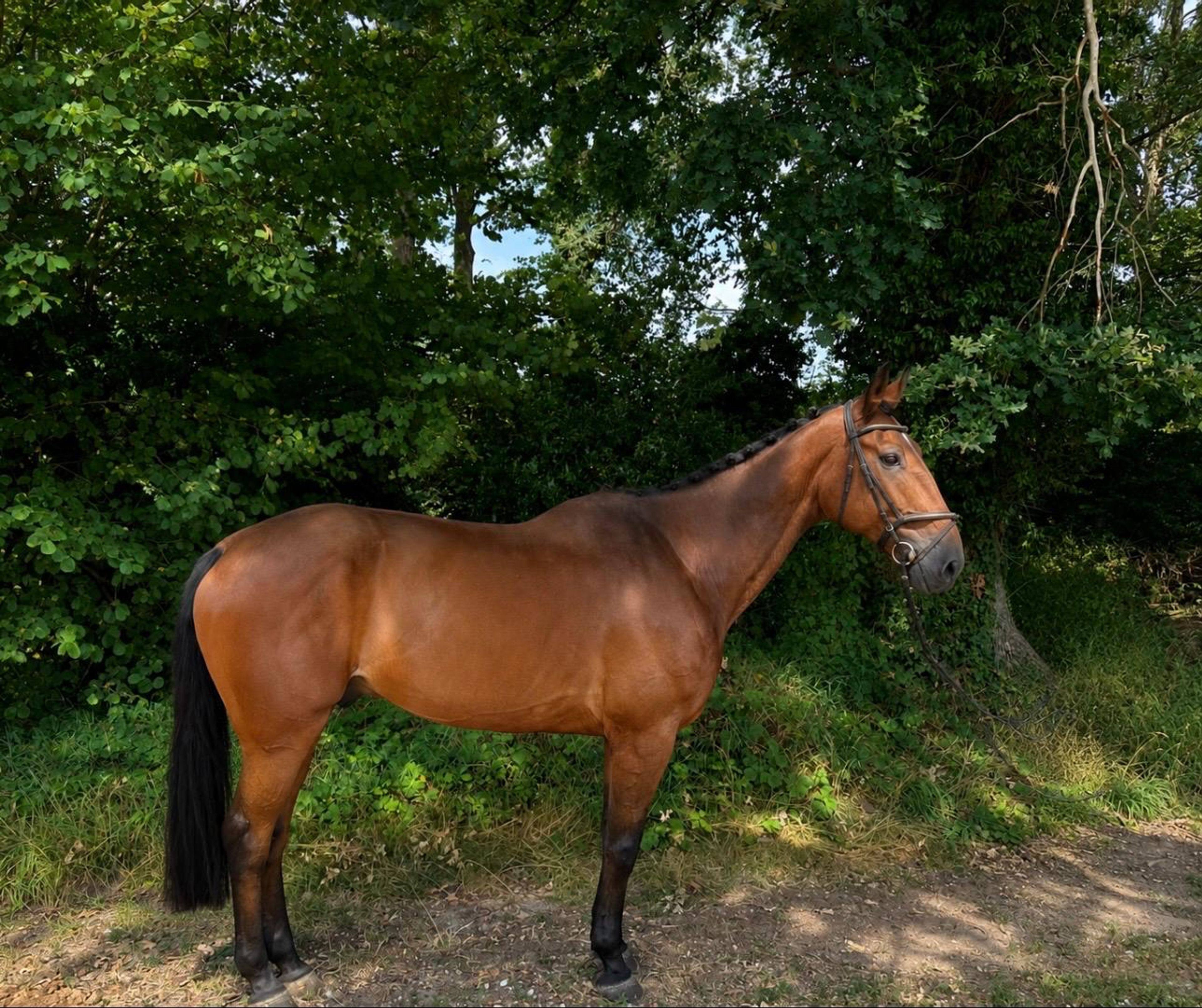 Flag de Marions ☆ (JAG DE BELLOUET x LOVE YOU) - Image 1