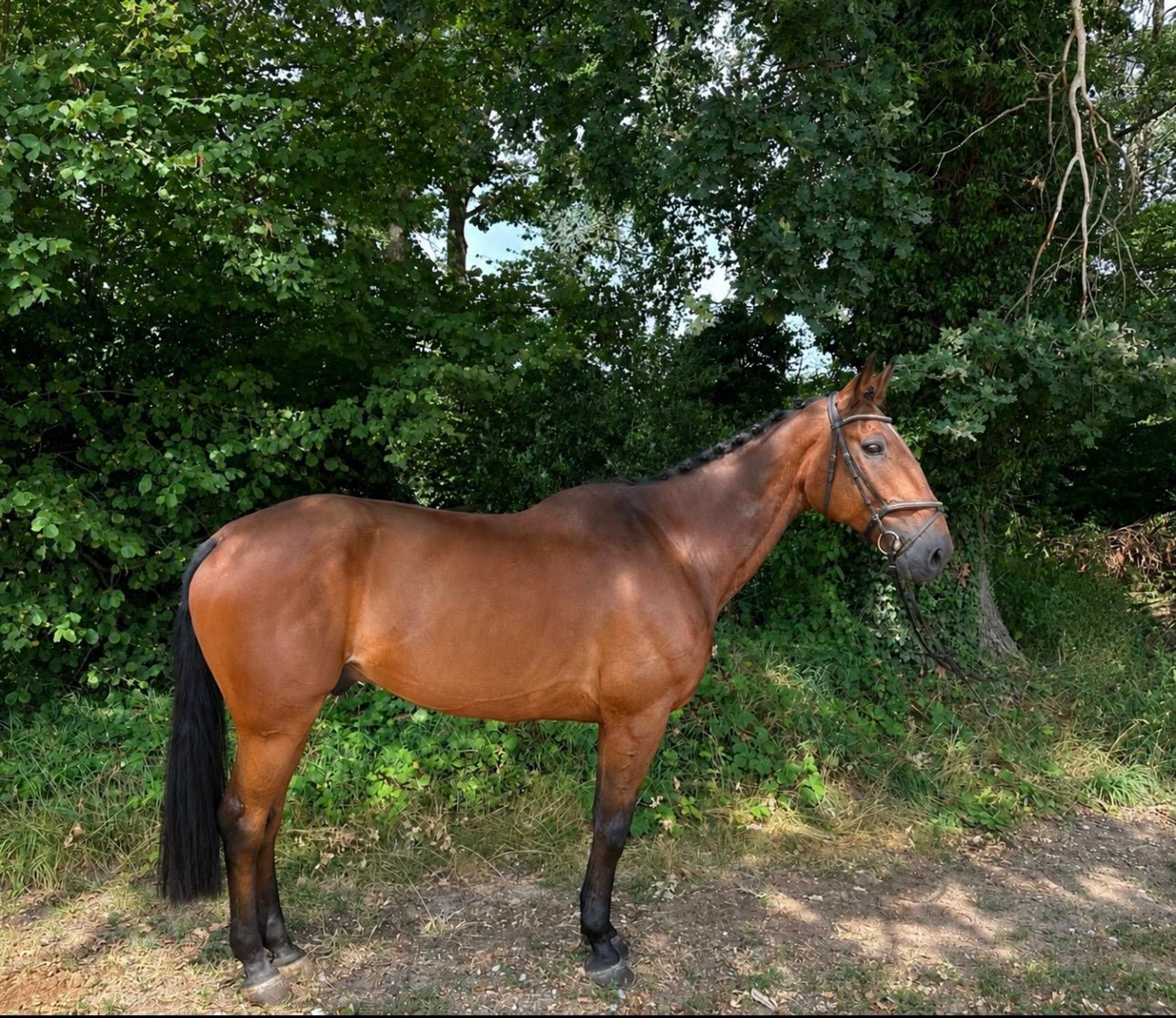 Flag de Marions ☆ (JAG DE BELLOUET x LOVE YOU) - Image 2