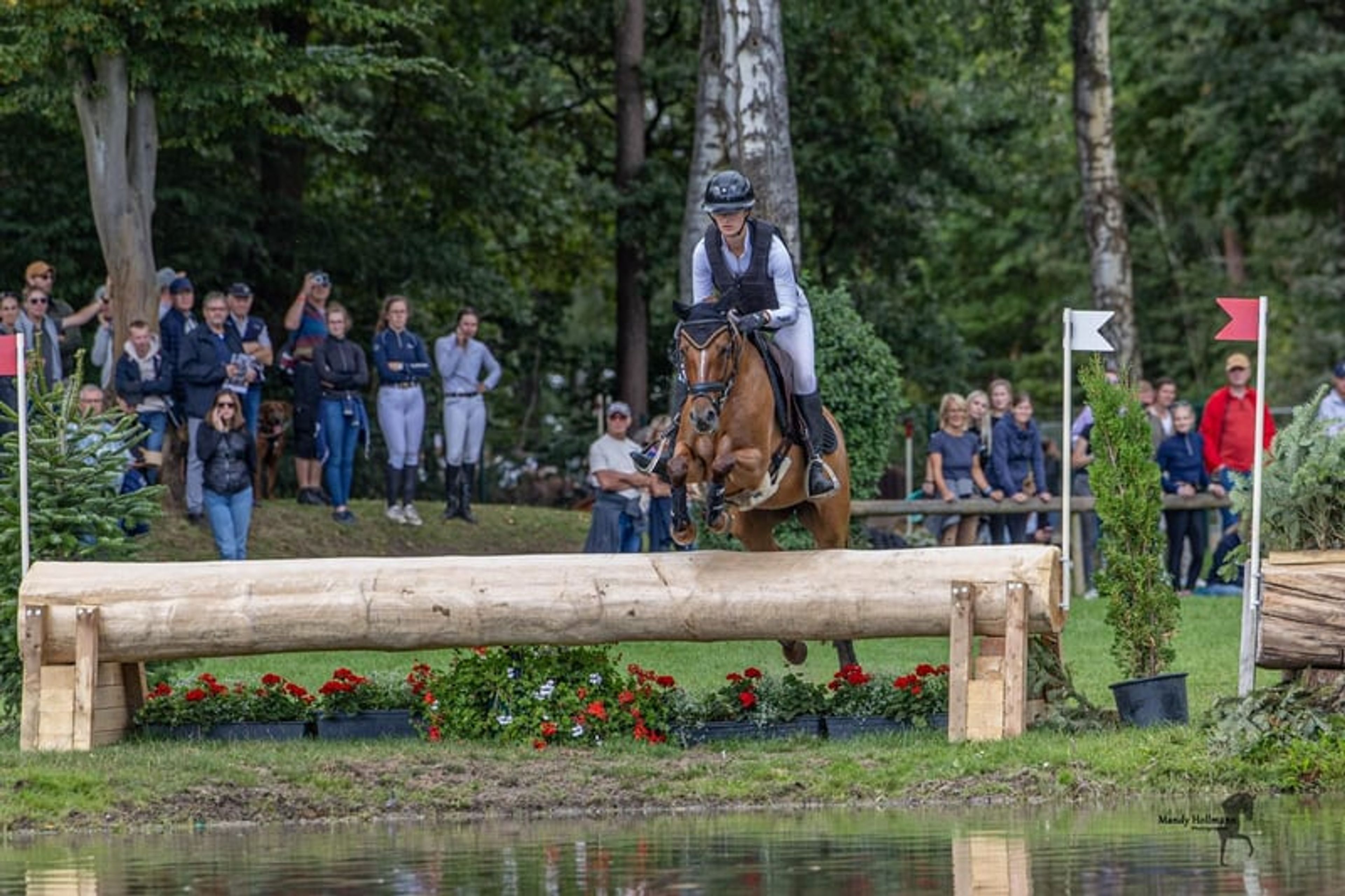 Successful eventing pony for discerning riders