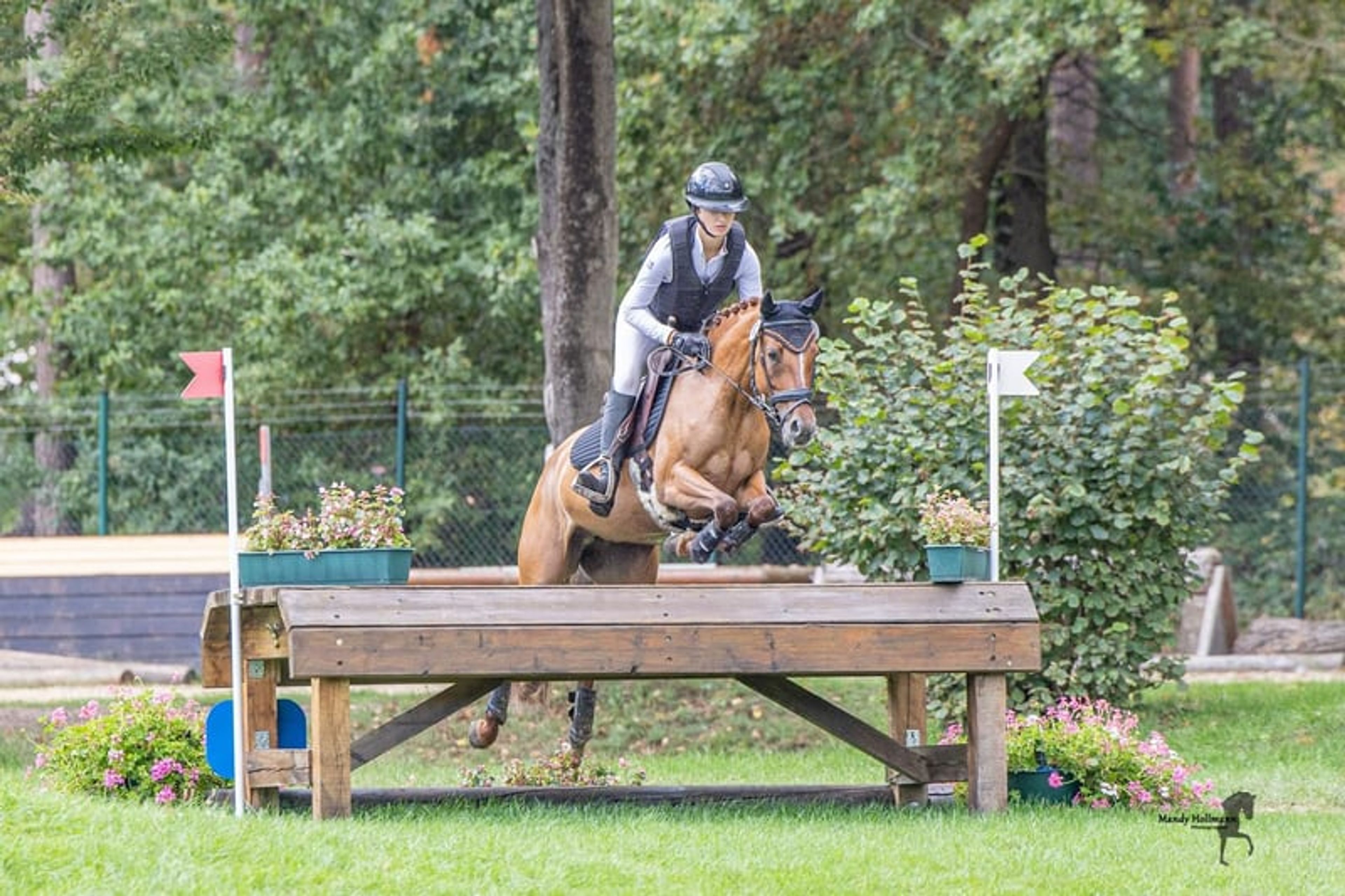 Successful eventing pony for discerning riders - Image 2