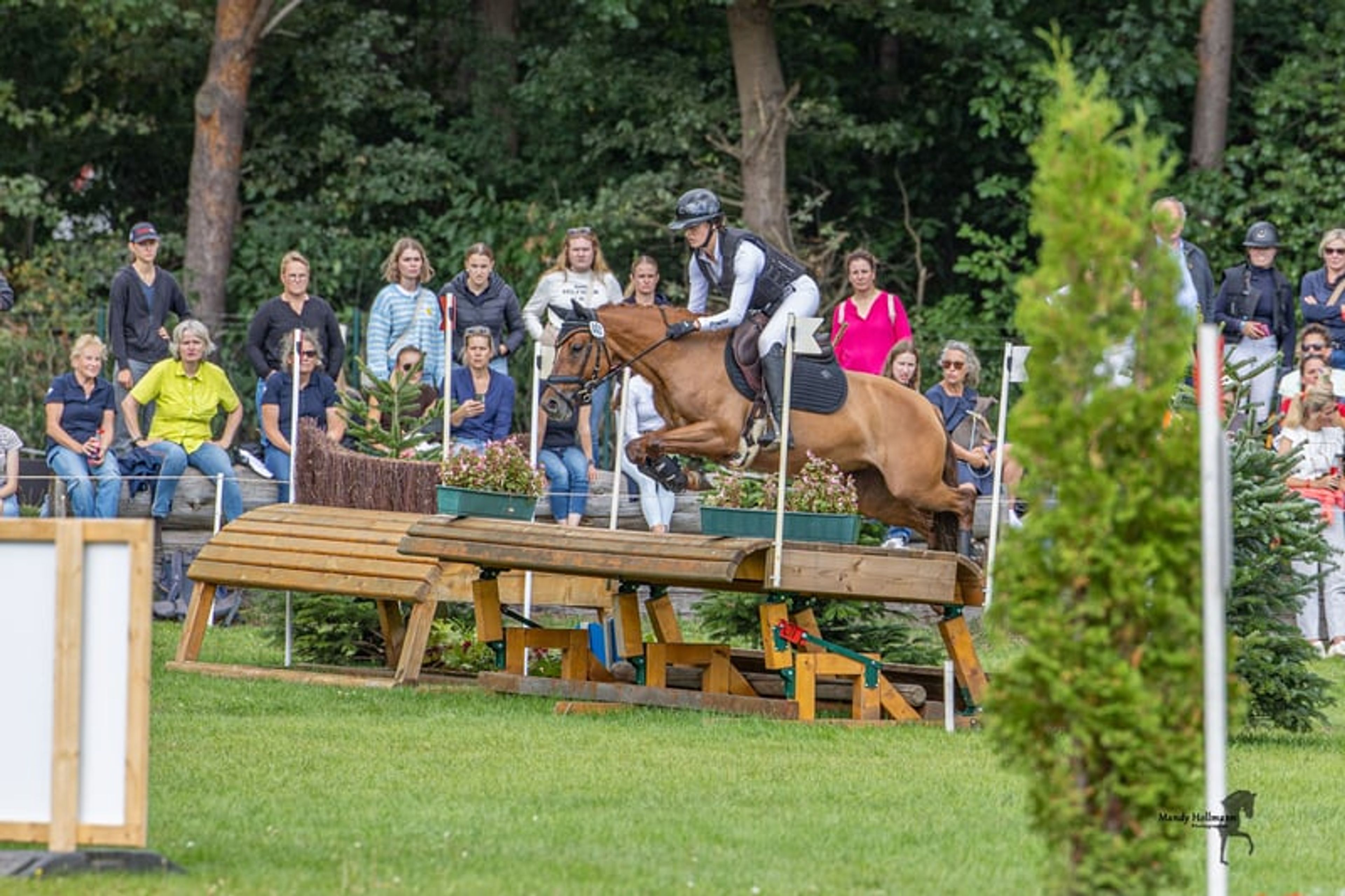 Successful eventing pony for discerning riders - Image 3