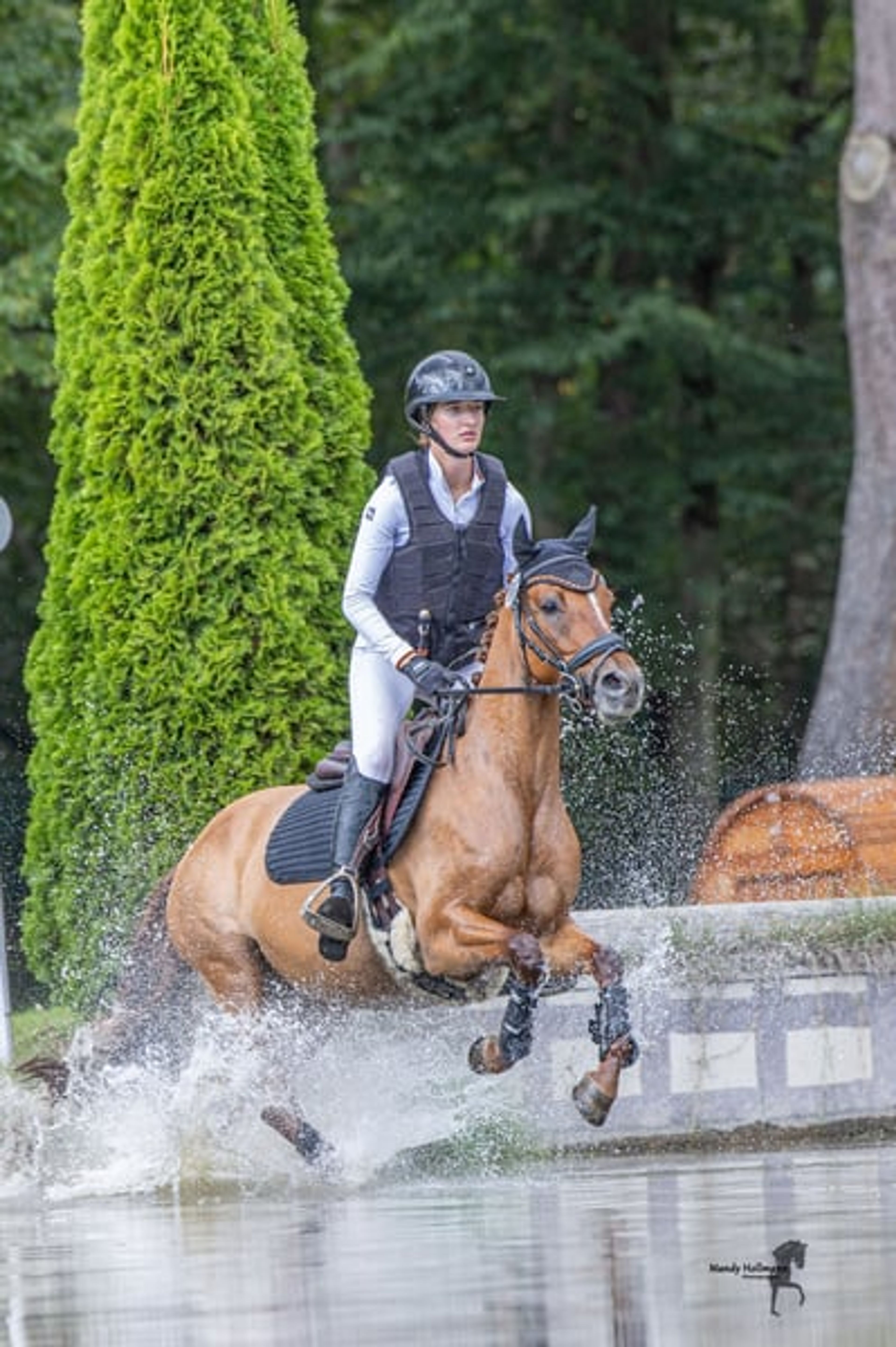Successful eventing pony for discerning riders - Image 4