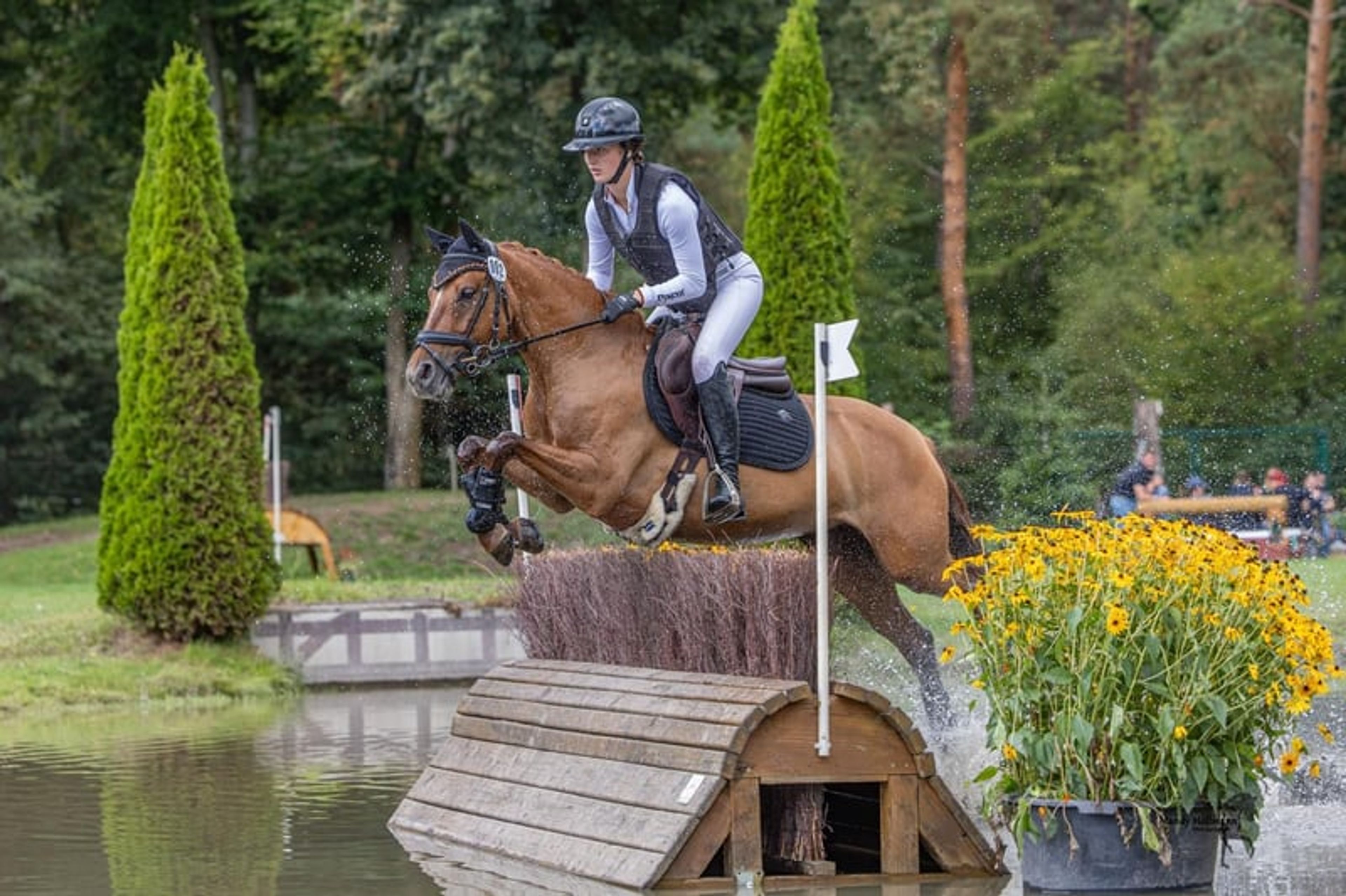 Successful eventing pony for discerning riders - Image 5