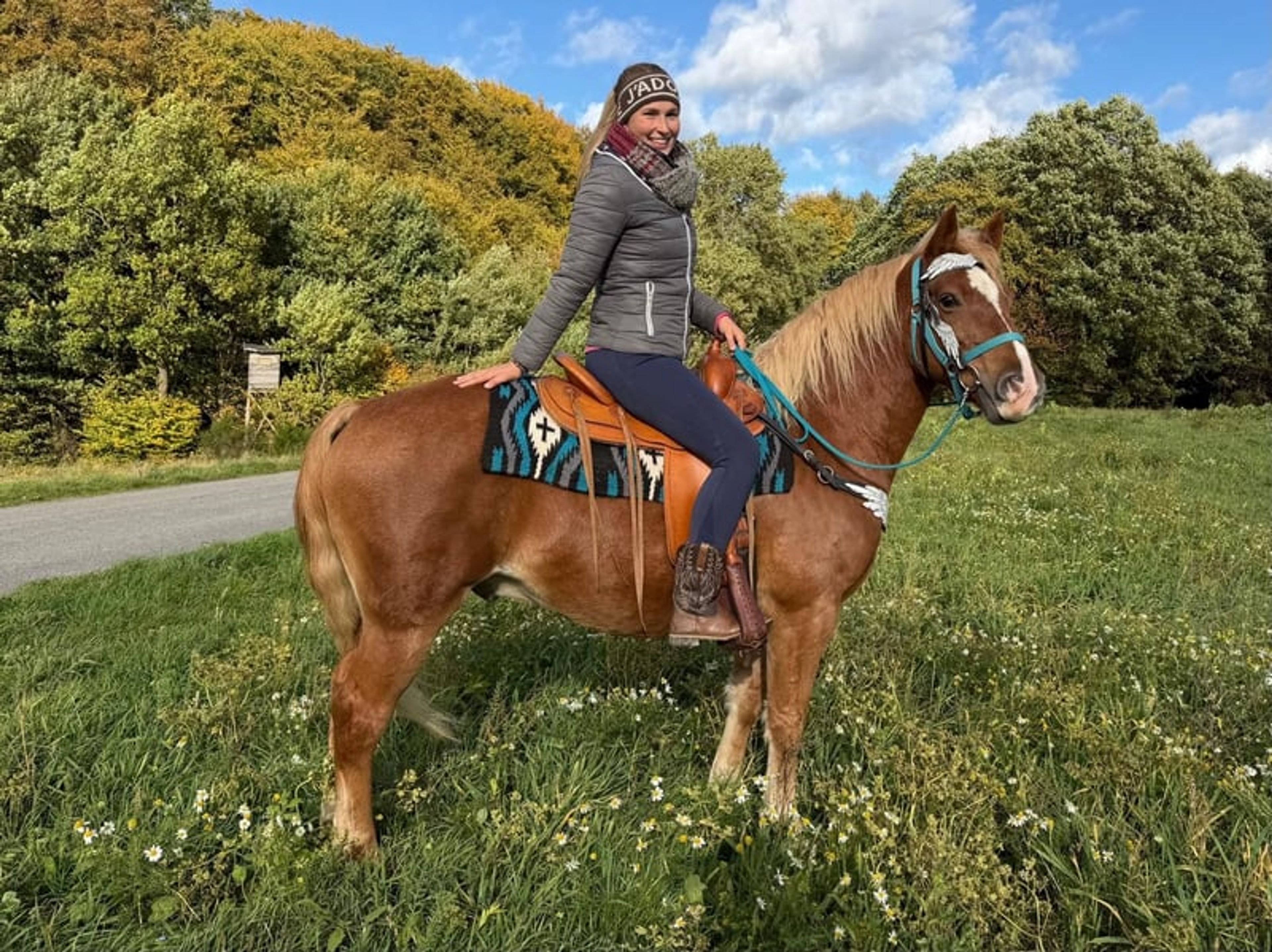 All-round horse for leisure riding, trail riding, therapy, families and riding schools - Image 2