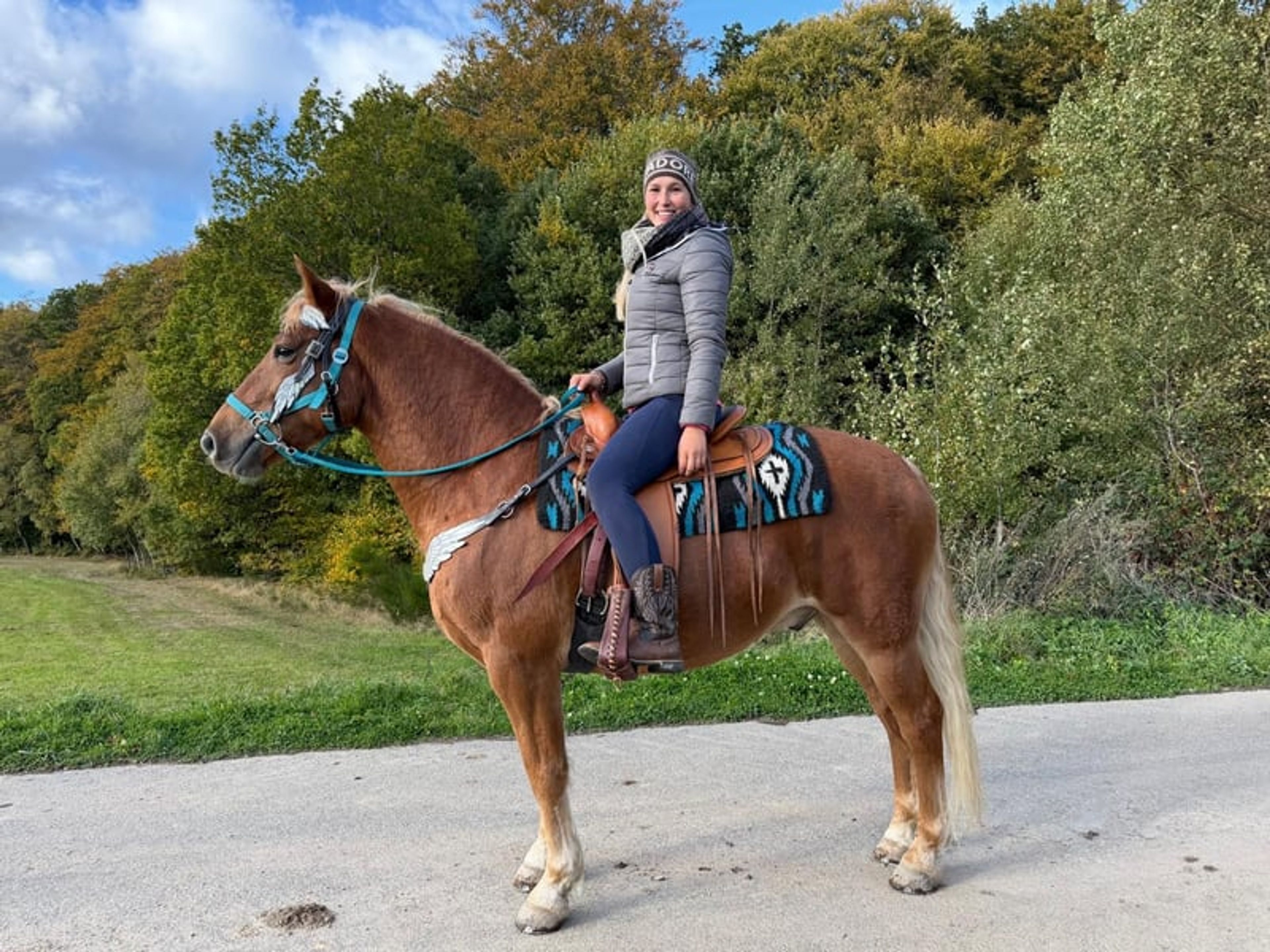 All-round horse for leisure riding, trail riding, therapy, families and riding schools - Image 3