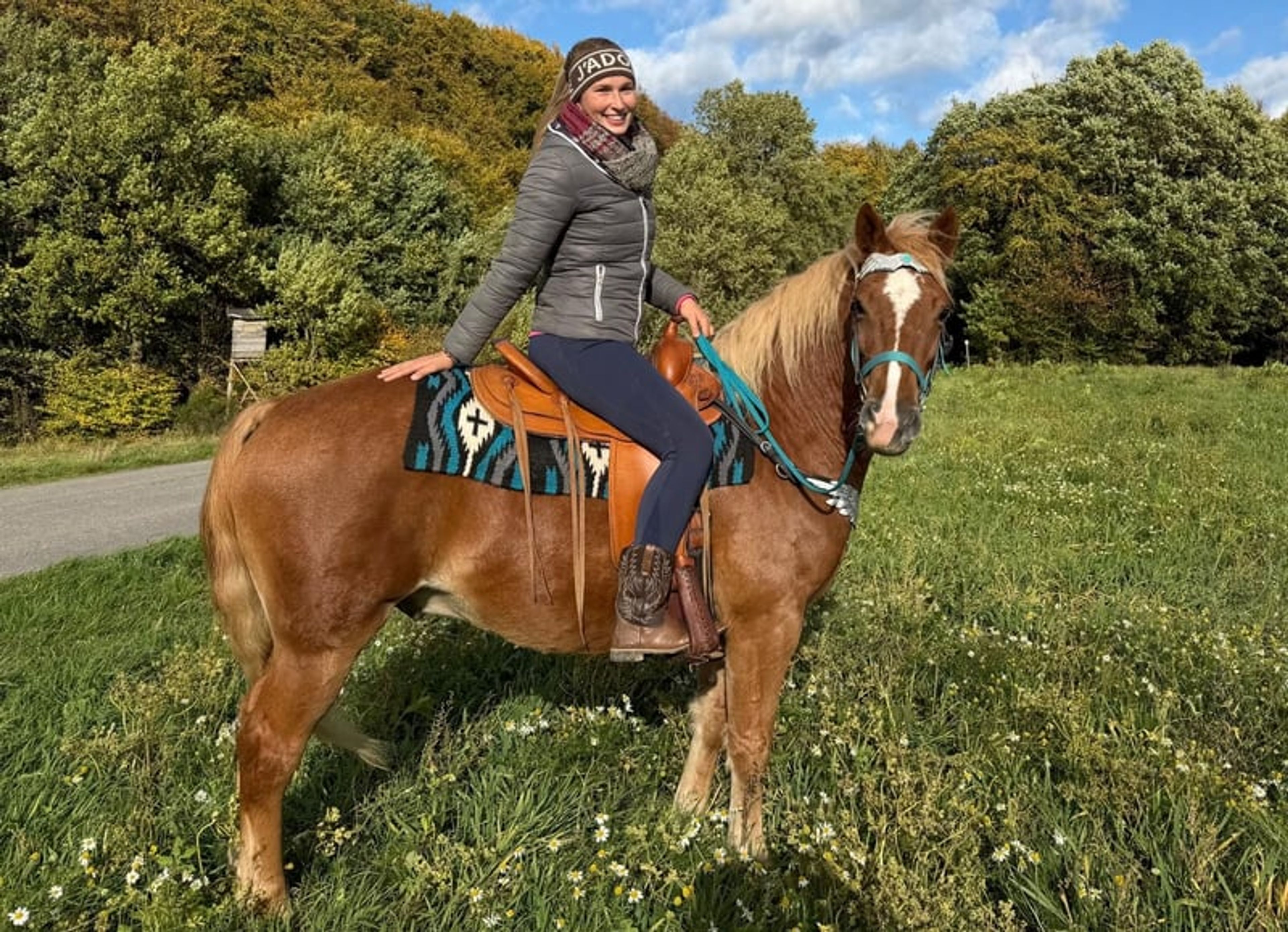 All-round horse for leisure riding, trail riding, therapy, families and riding schools - Image 4