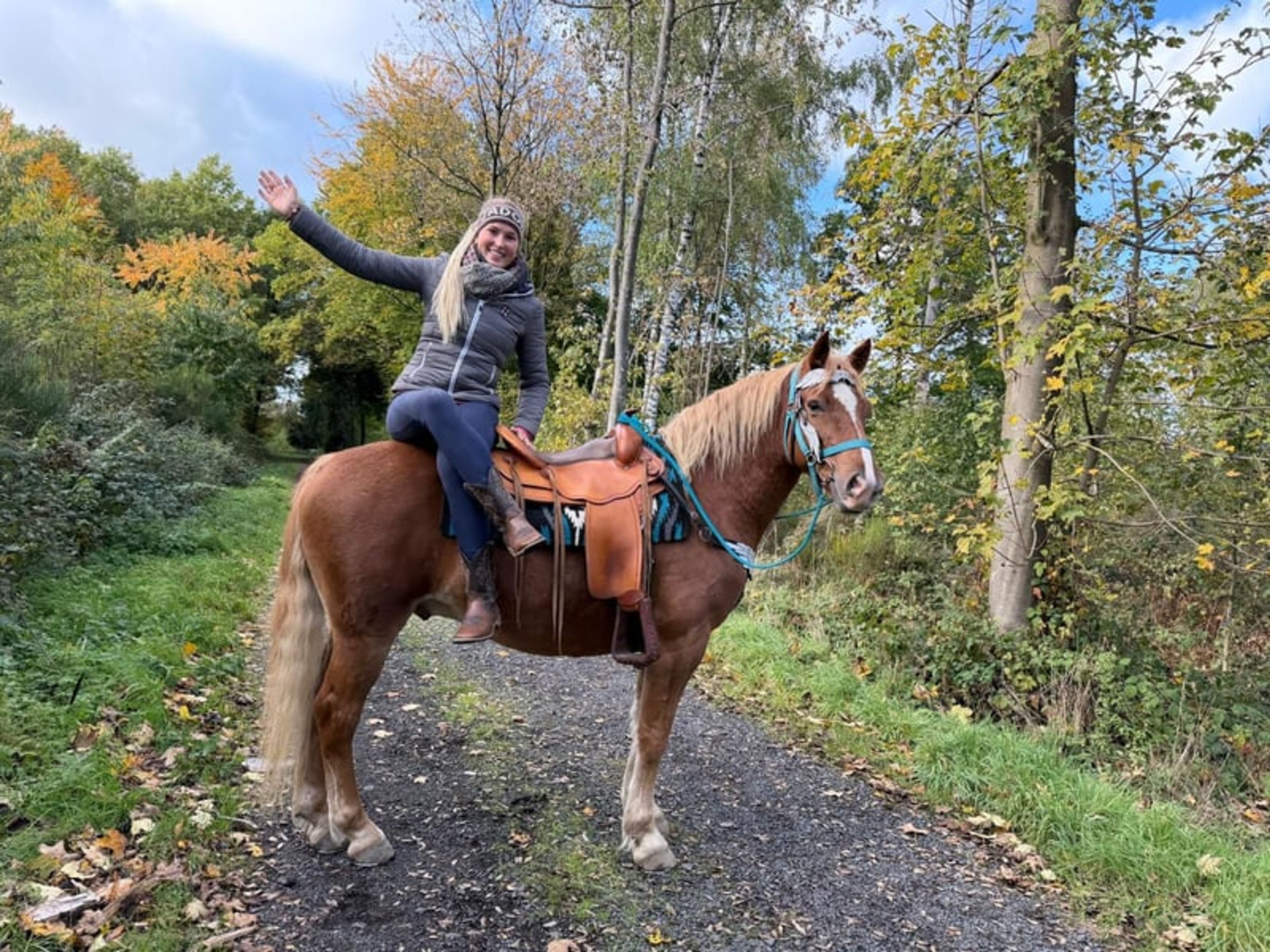 All-round horse for leisure riding, trail riding, therapy, families and riding schools - Image 7