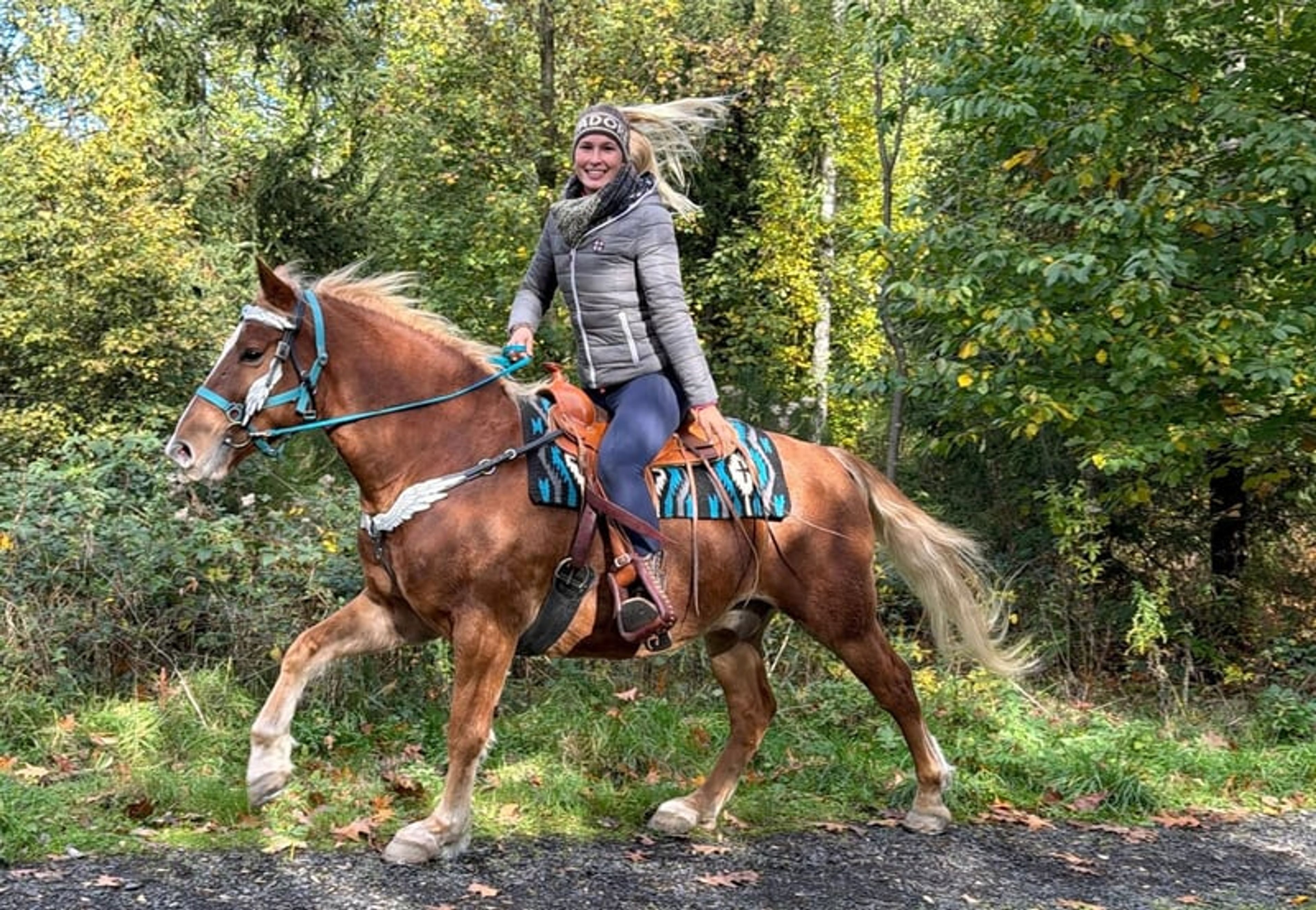 All-round horse for leisure riding, trail riding, therapy, families and riding schools - Image 8