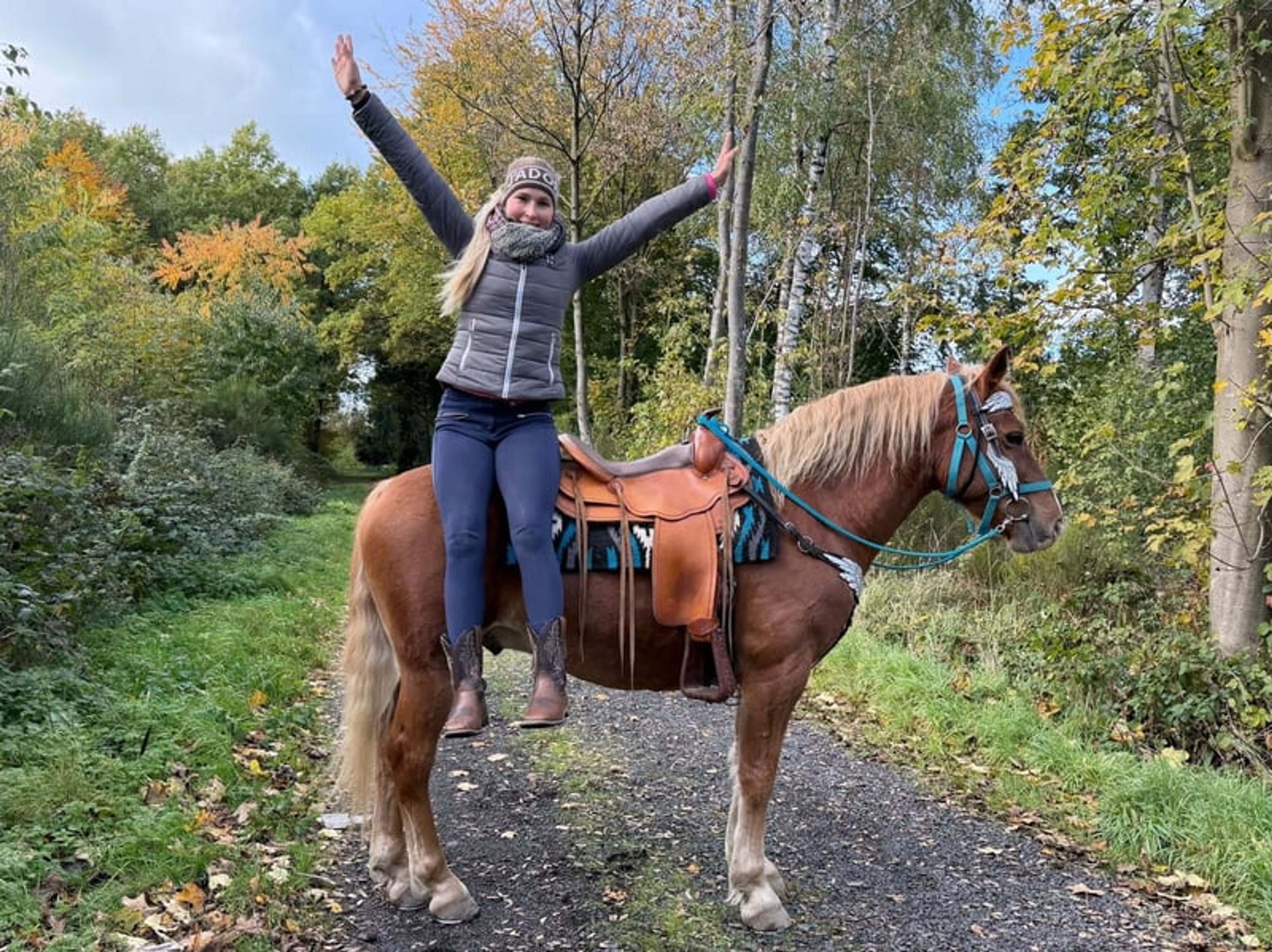 All-round horse for leisure riding, trail riding, therapy, families and riding schools - Image 9