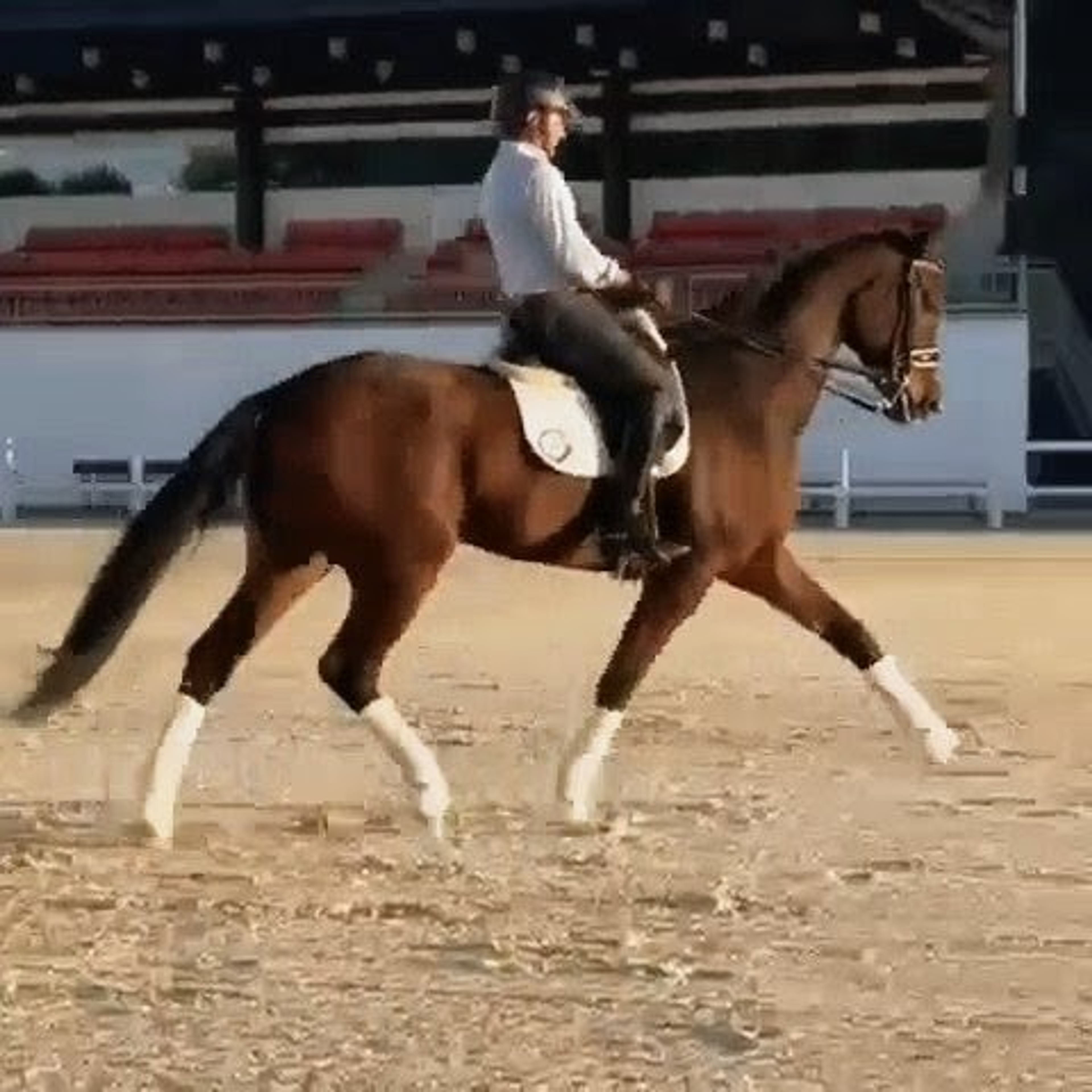 Konstantin - Image 1