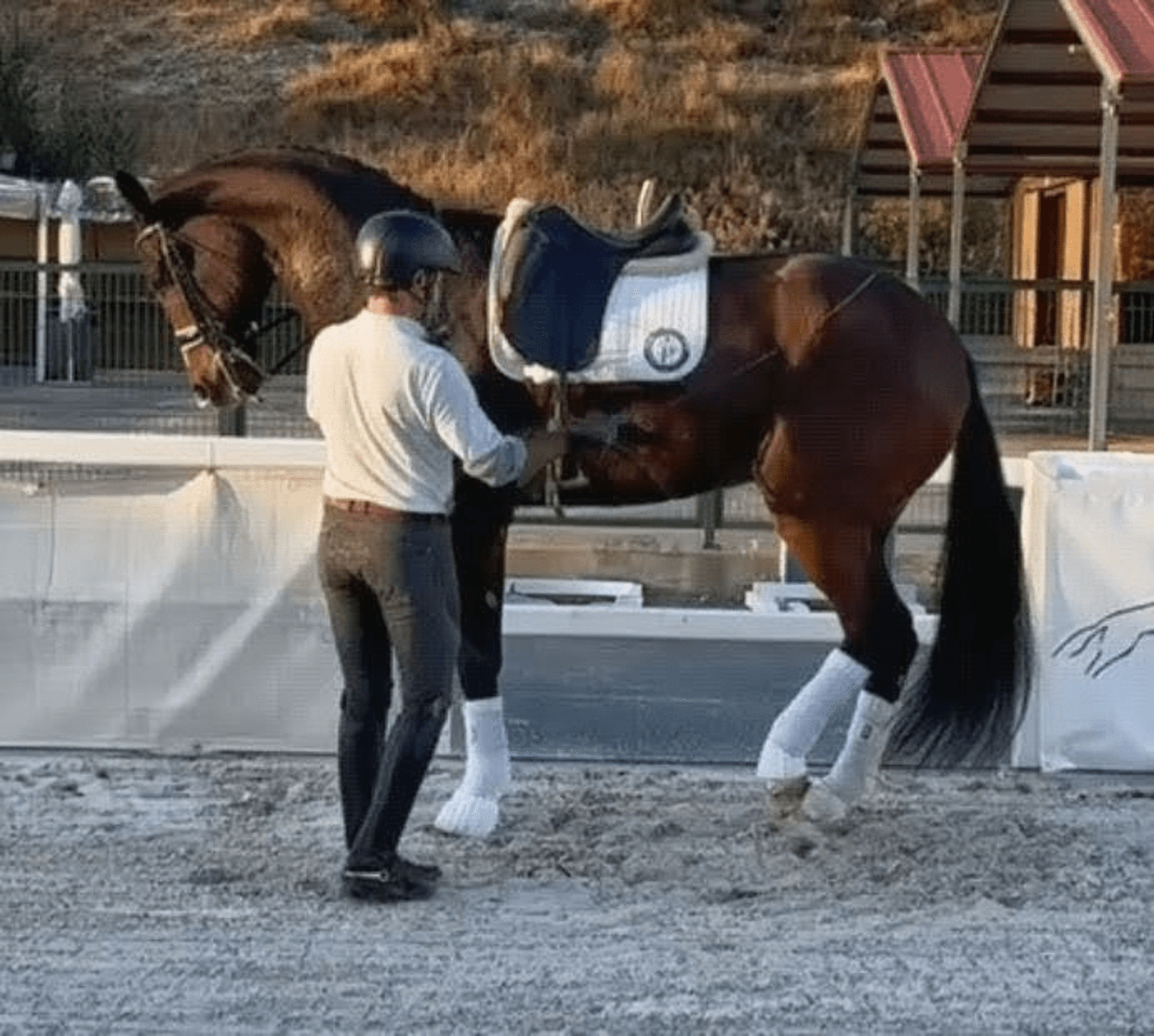 Konstantin - Image 2