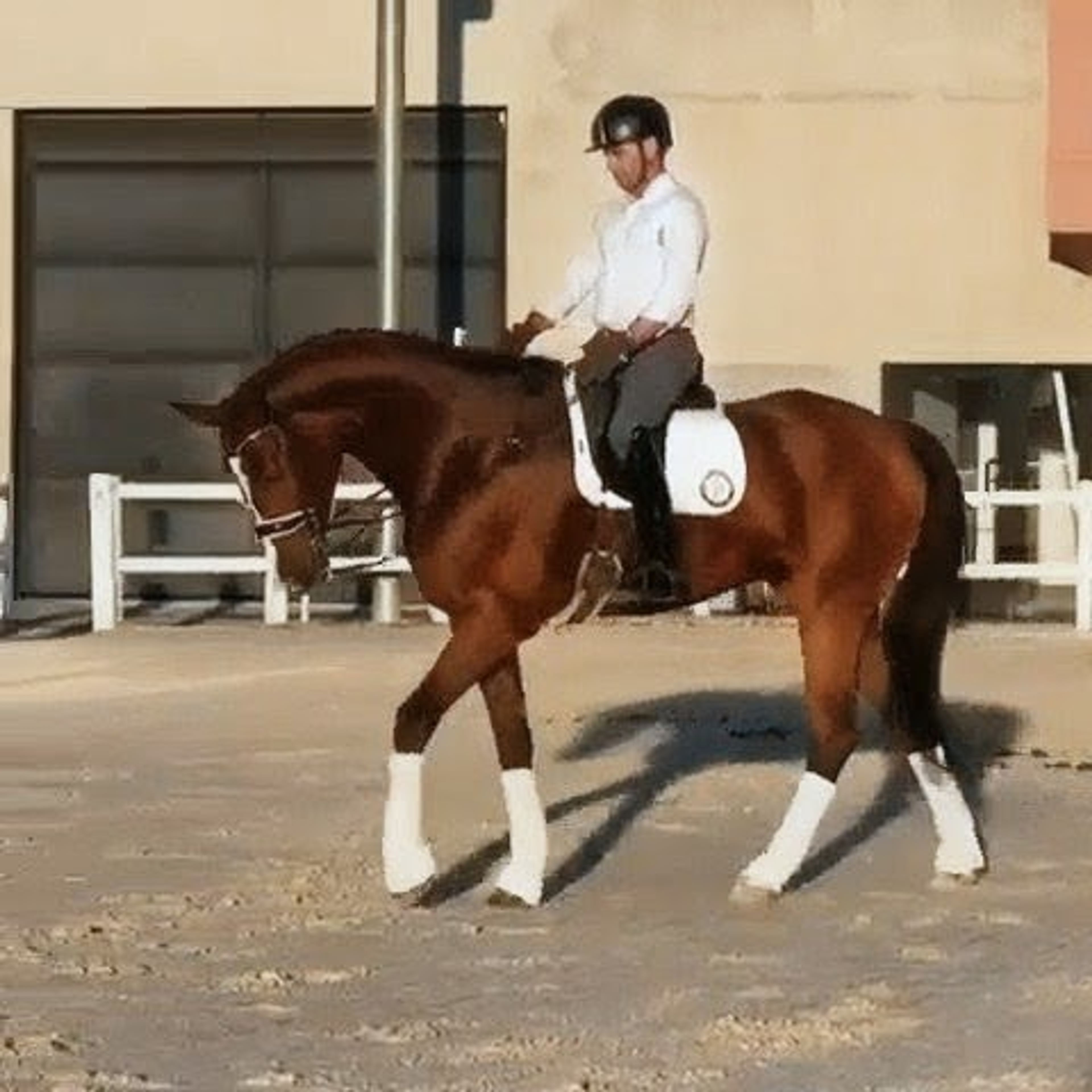 Konstantin - Image 4