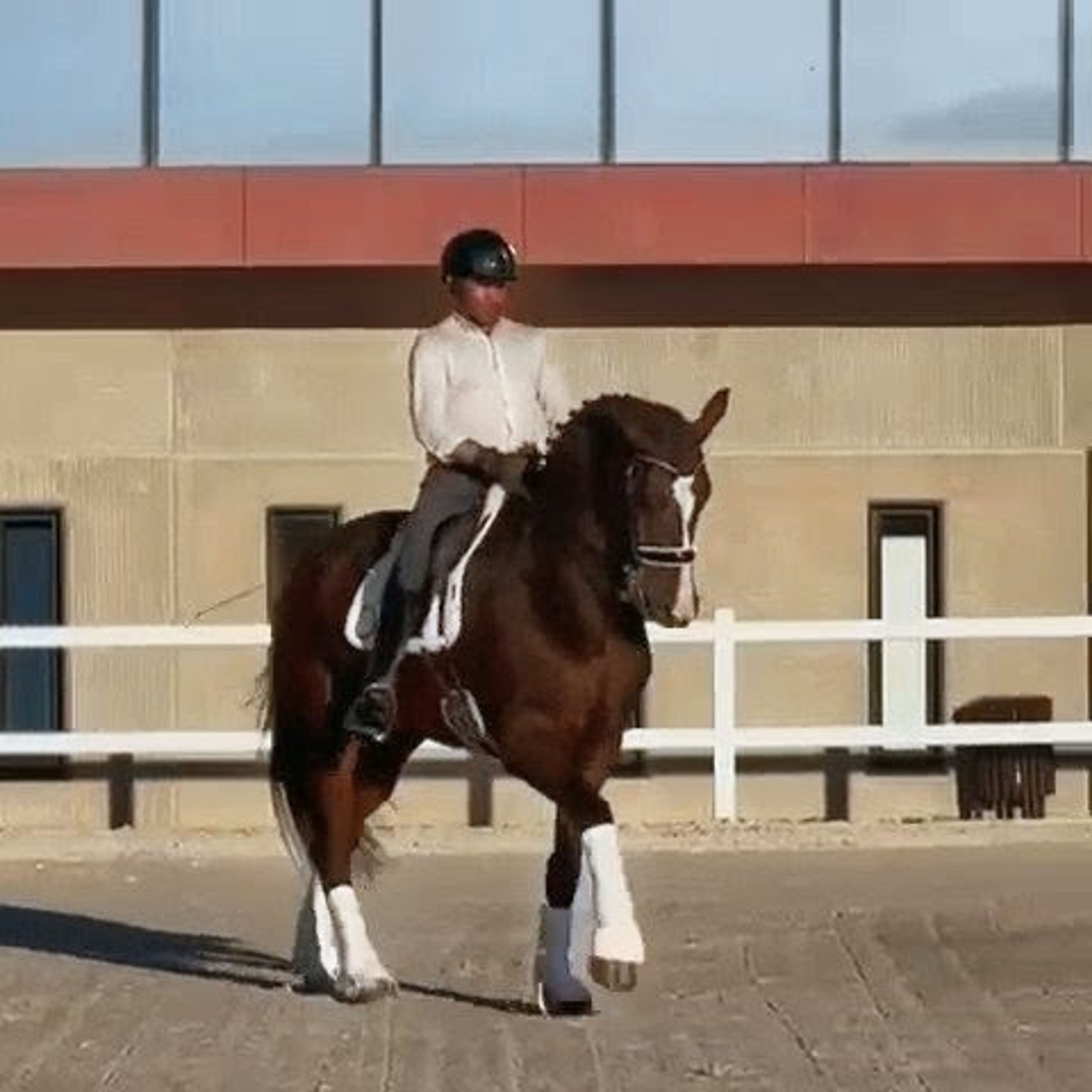 Konstantin - Image 5