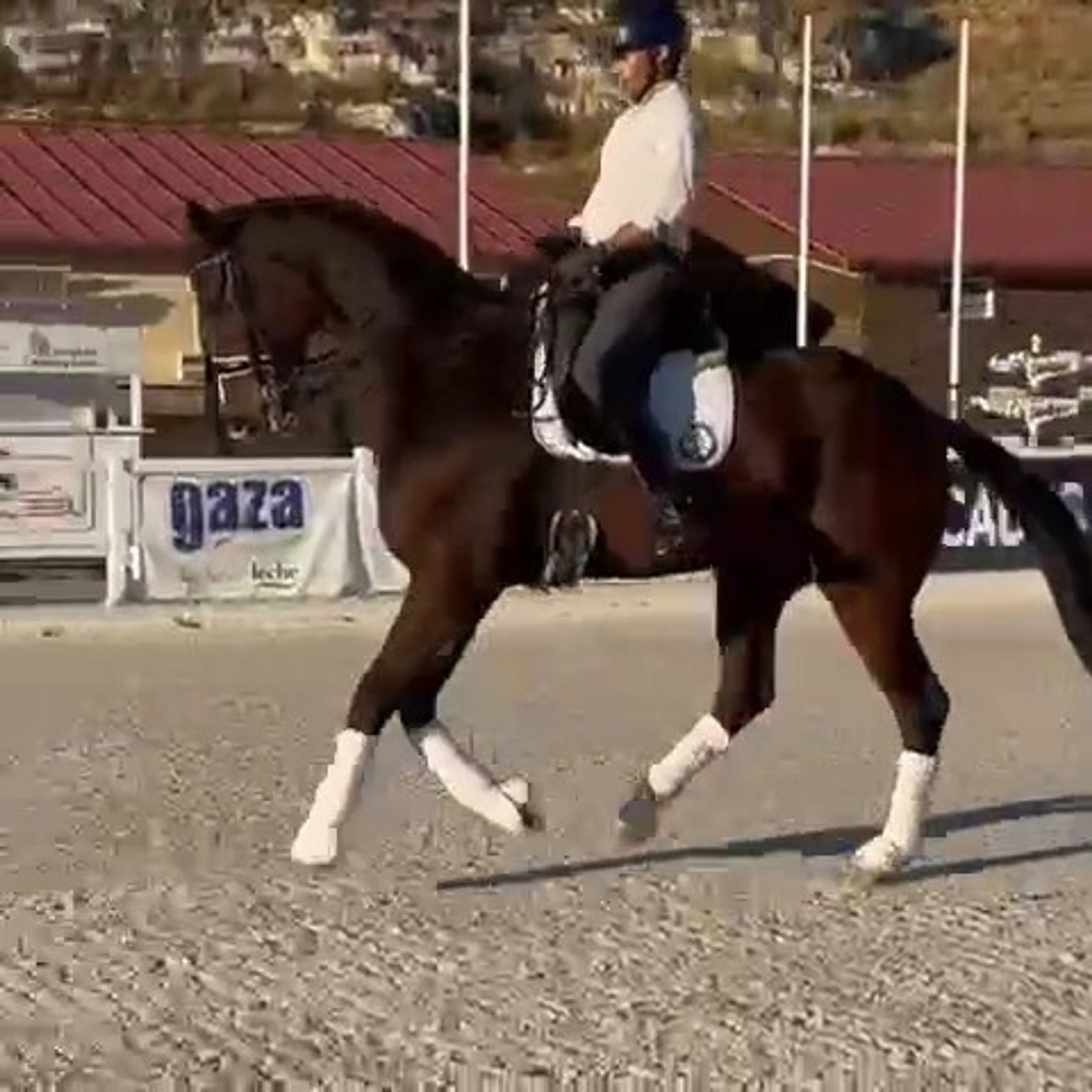 Konstantin - Image 6