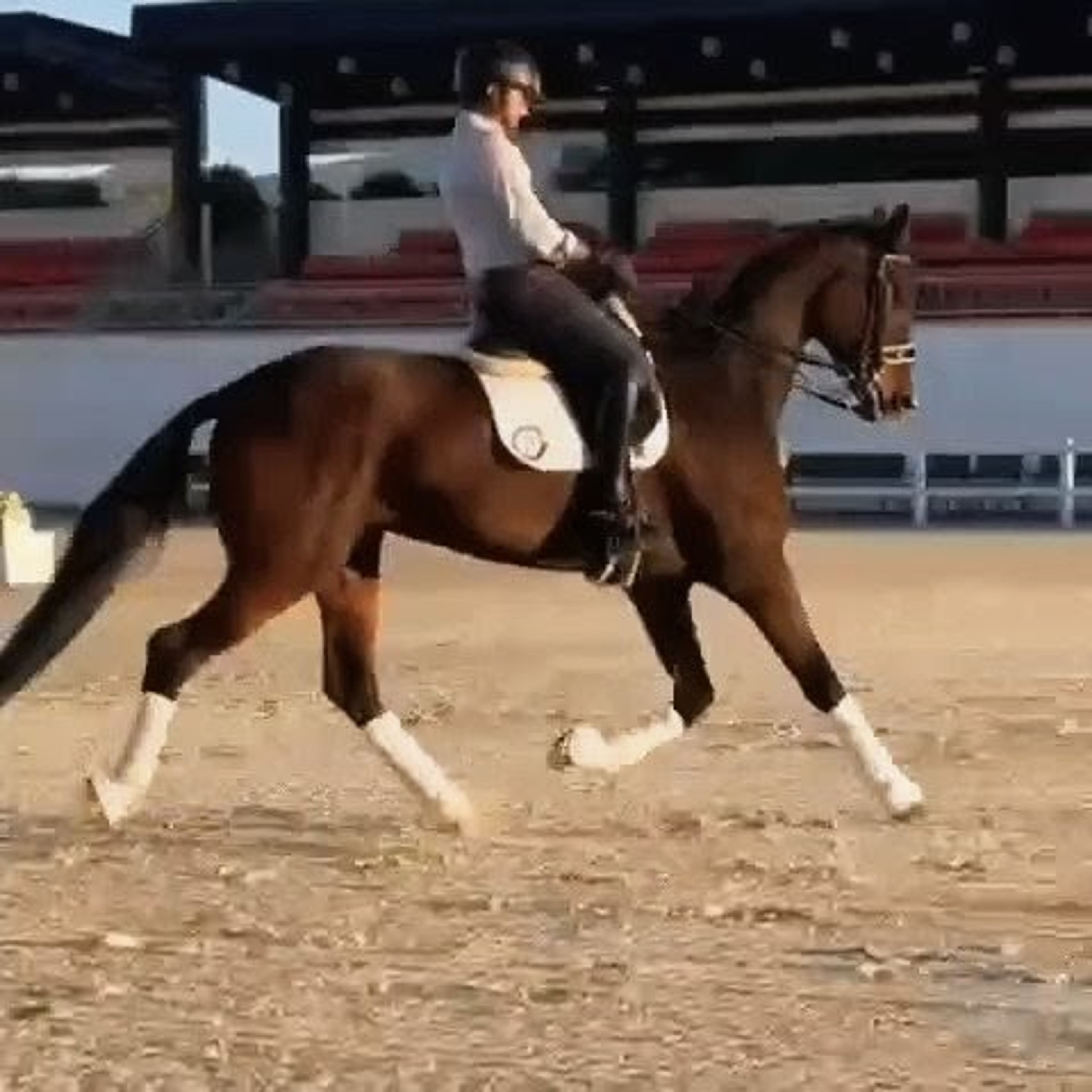 Konstantin - Image 7