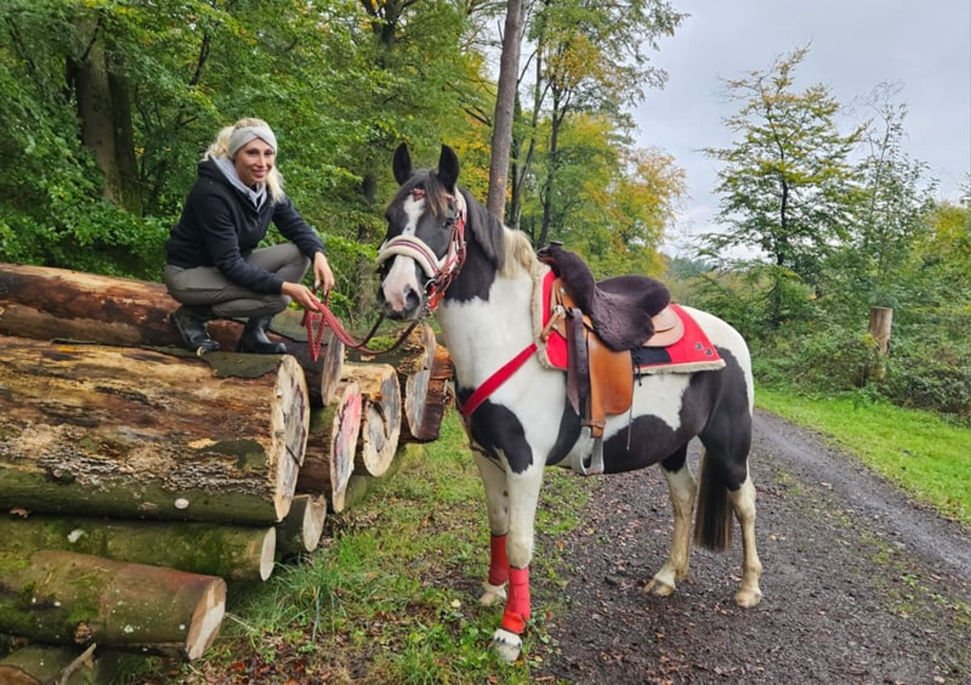 Versatile leisure, trail-riding, riding-school and family horse - Image 2