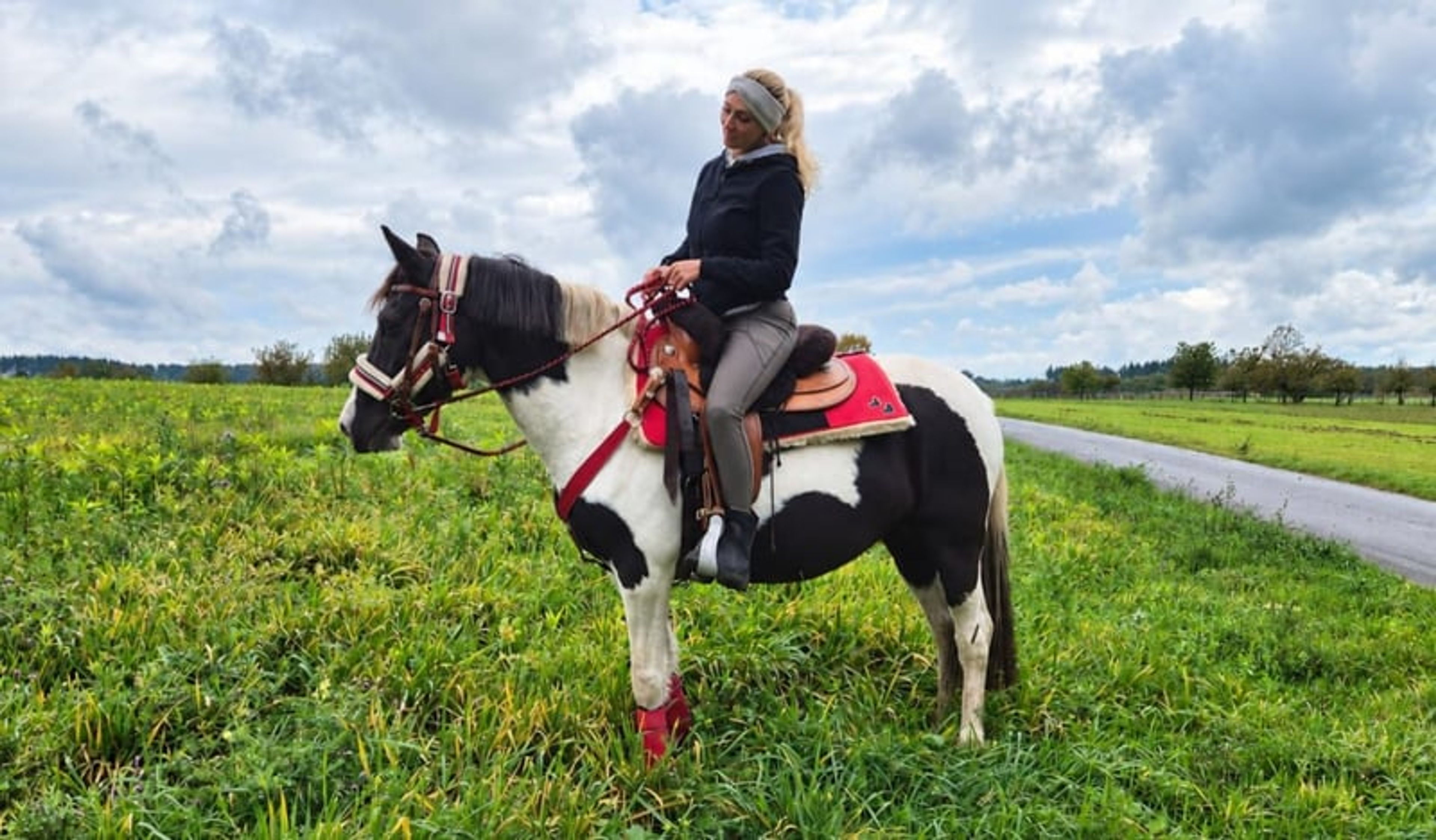 Versatile leisure, trail-riding, riding-school and family horse - Image 5