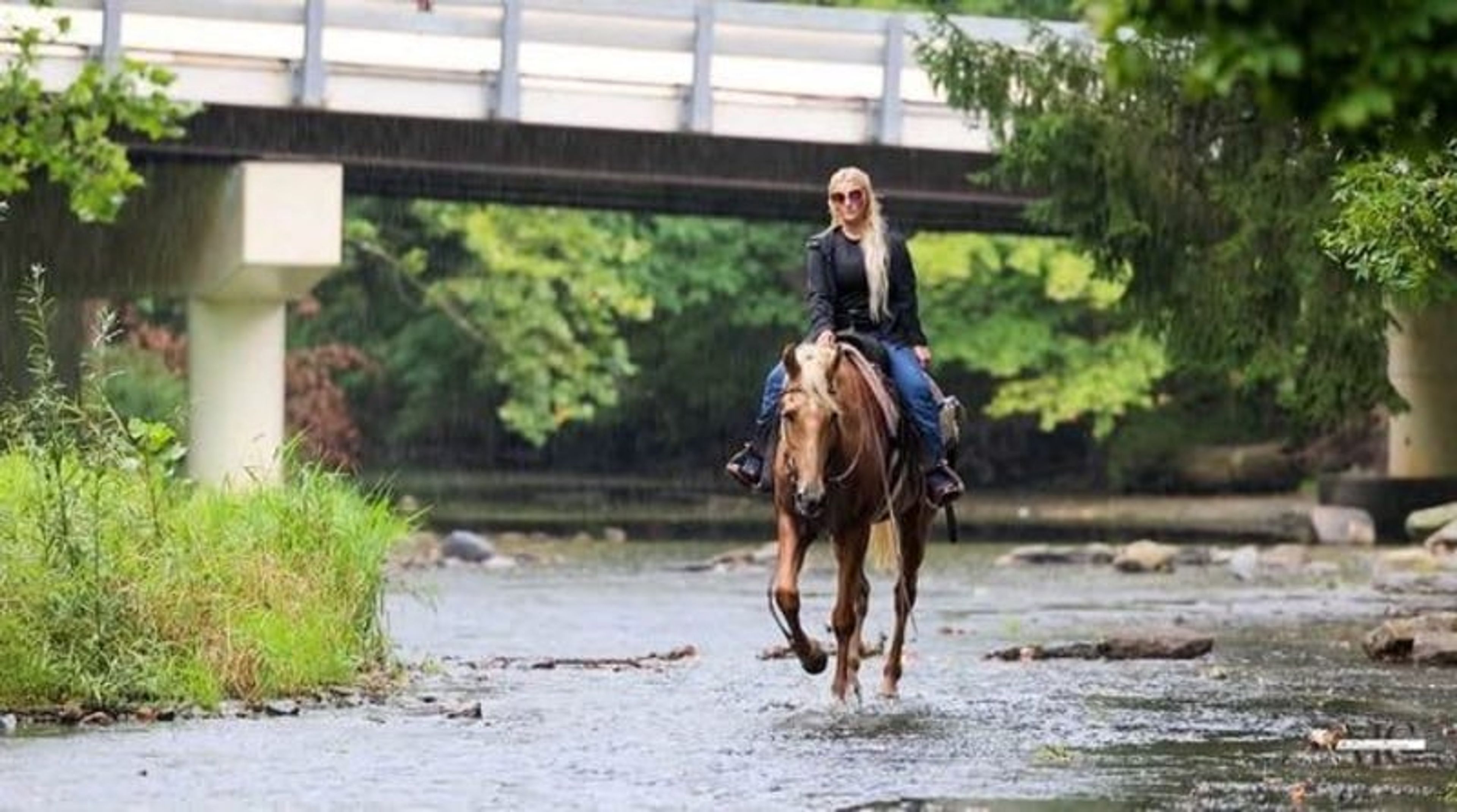 Pineapple is been-there, done-that 12 year old Tennessee Walker g - Image 4