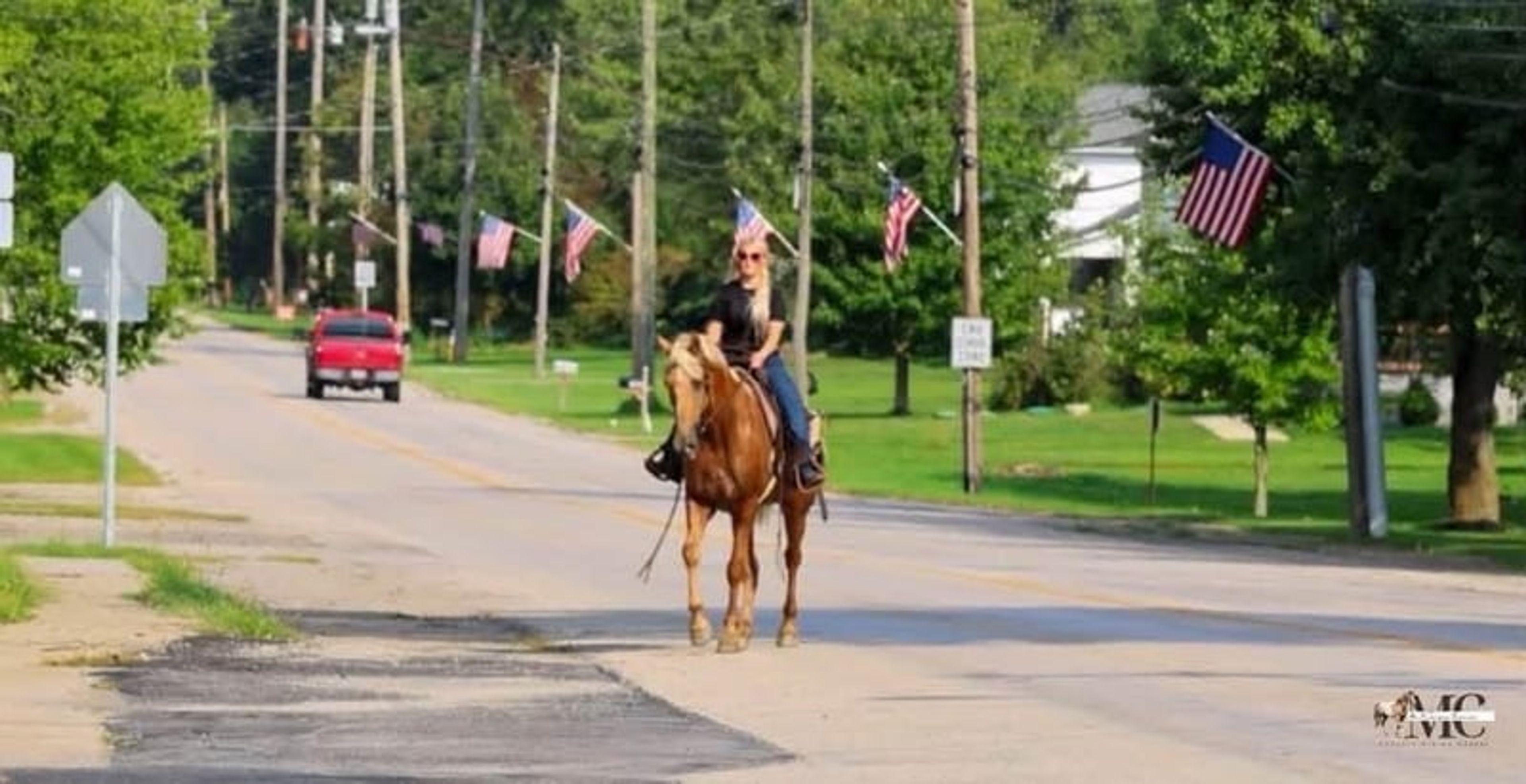 Pineapple is been-there, done-that 12 year old Tennessee Walker g - Image 8