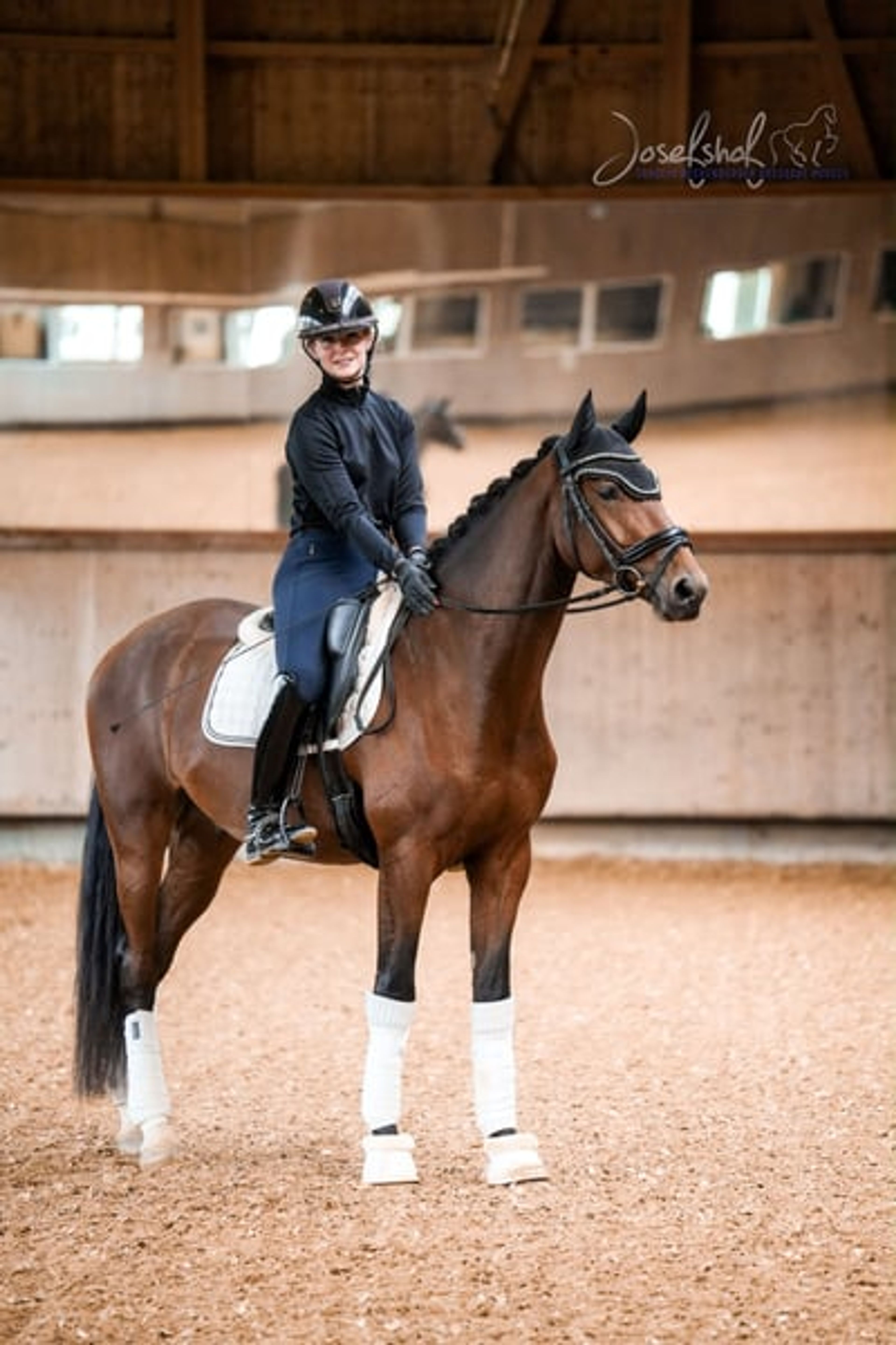 Young athlete with an exceptionally eye-catching canter. - Image 3
