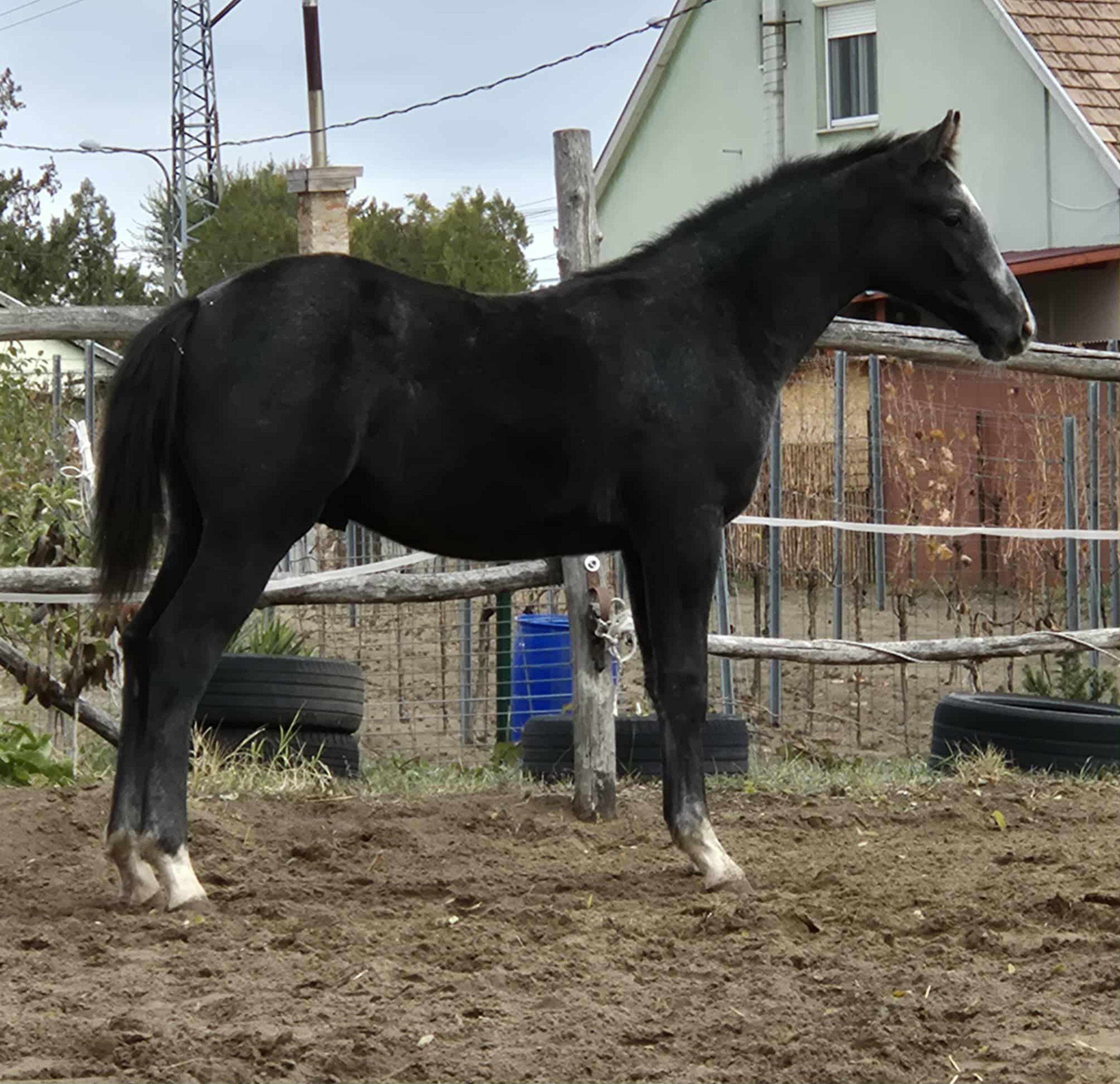 Port of Zenith - Image 2