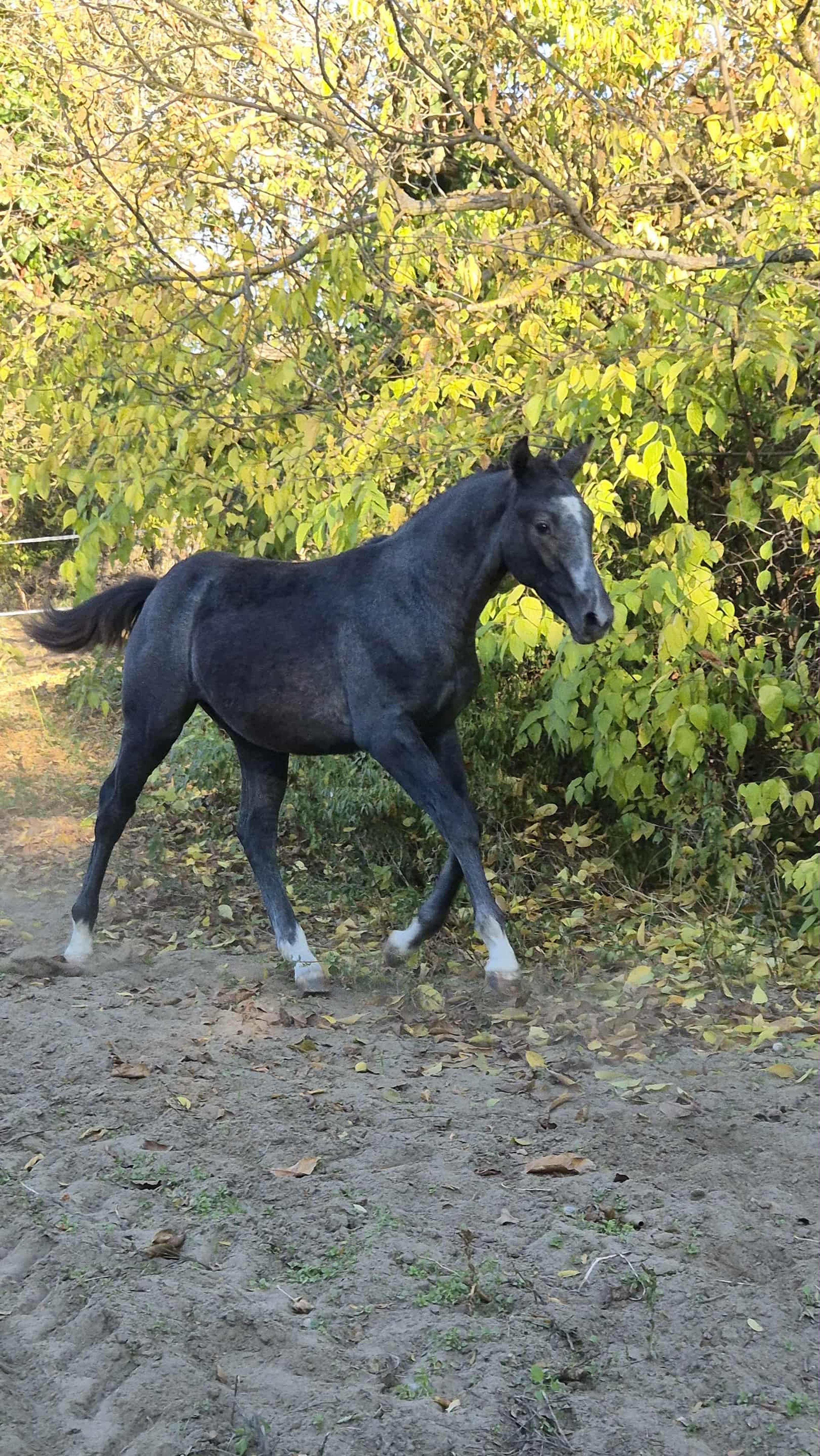 Port of Zenith - Image 3