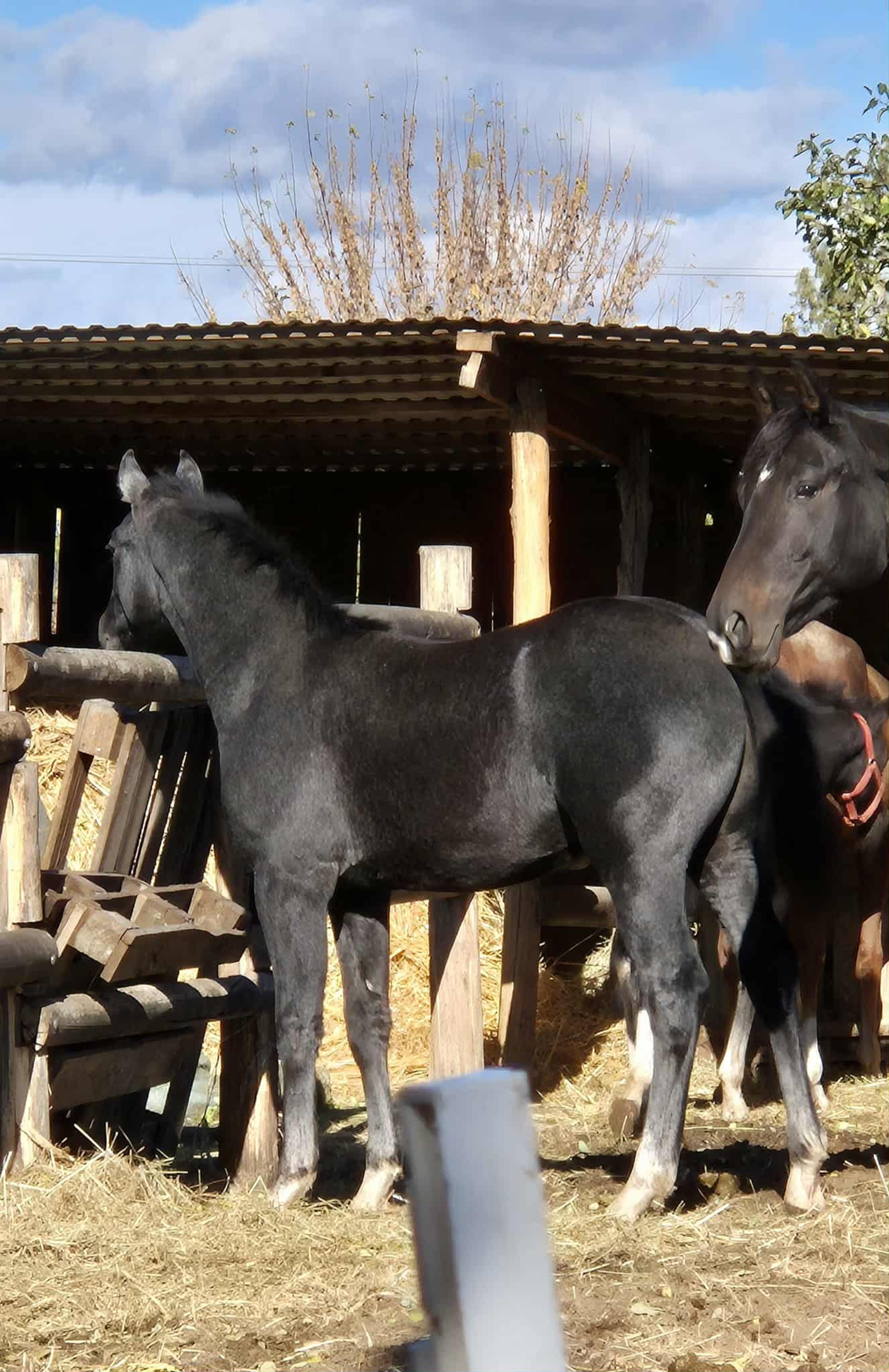 Port of Zenith - Image 4