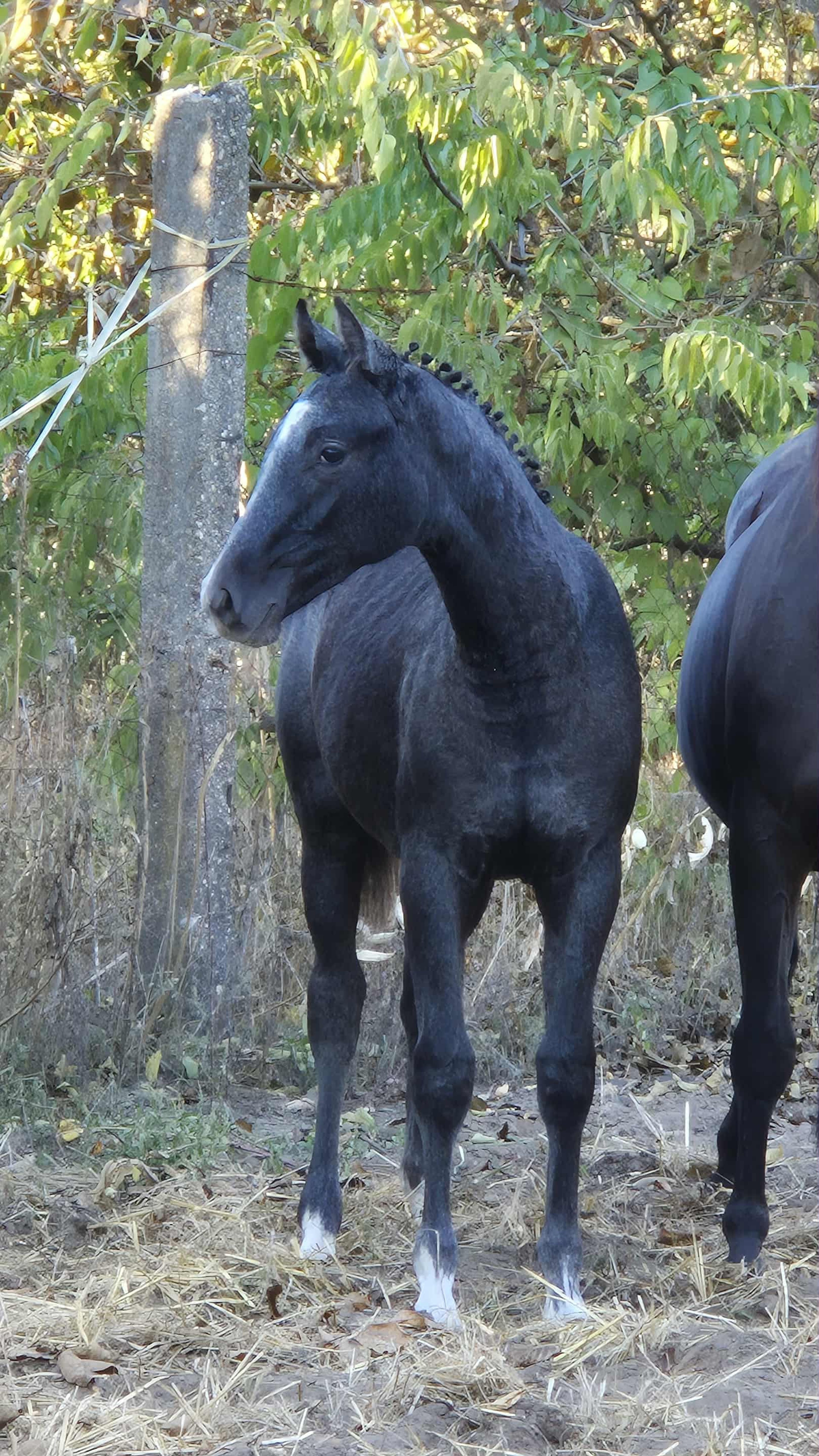 Port of Zenith - Image 5