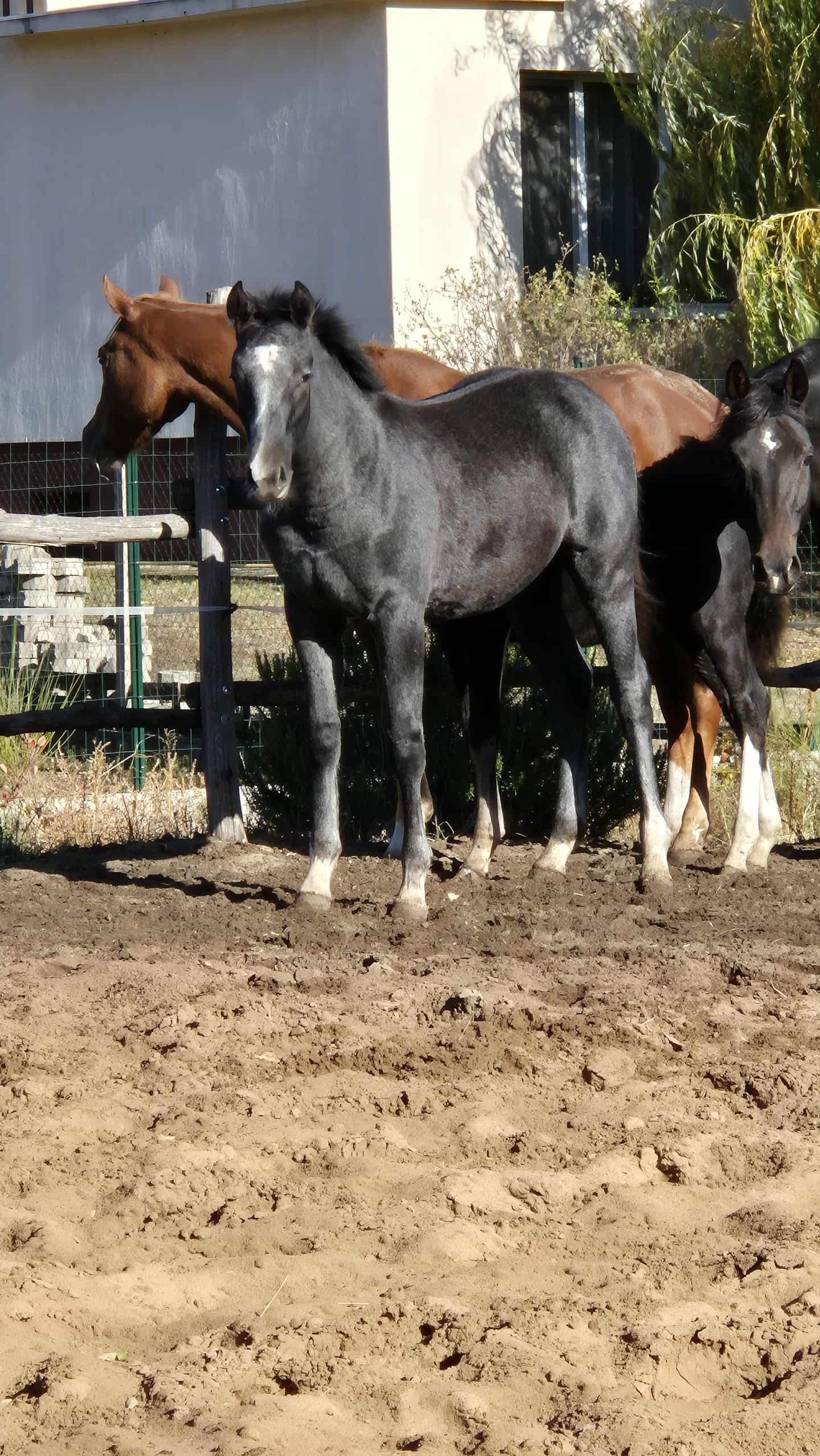 Port of Zenith - Image 6