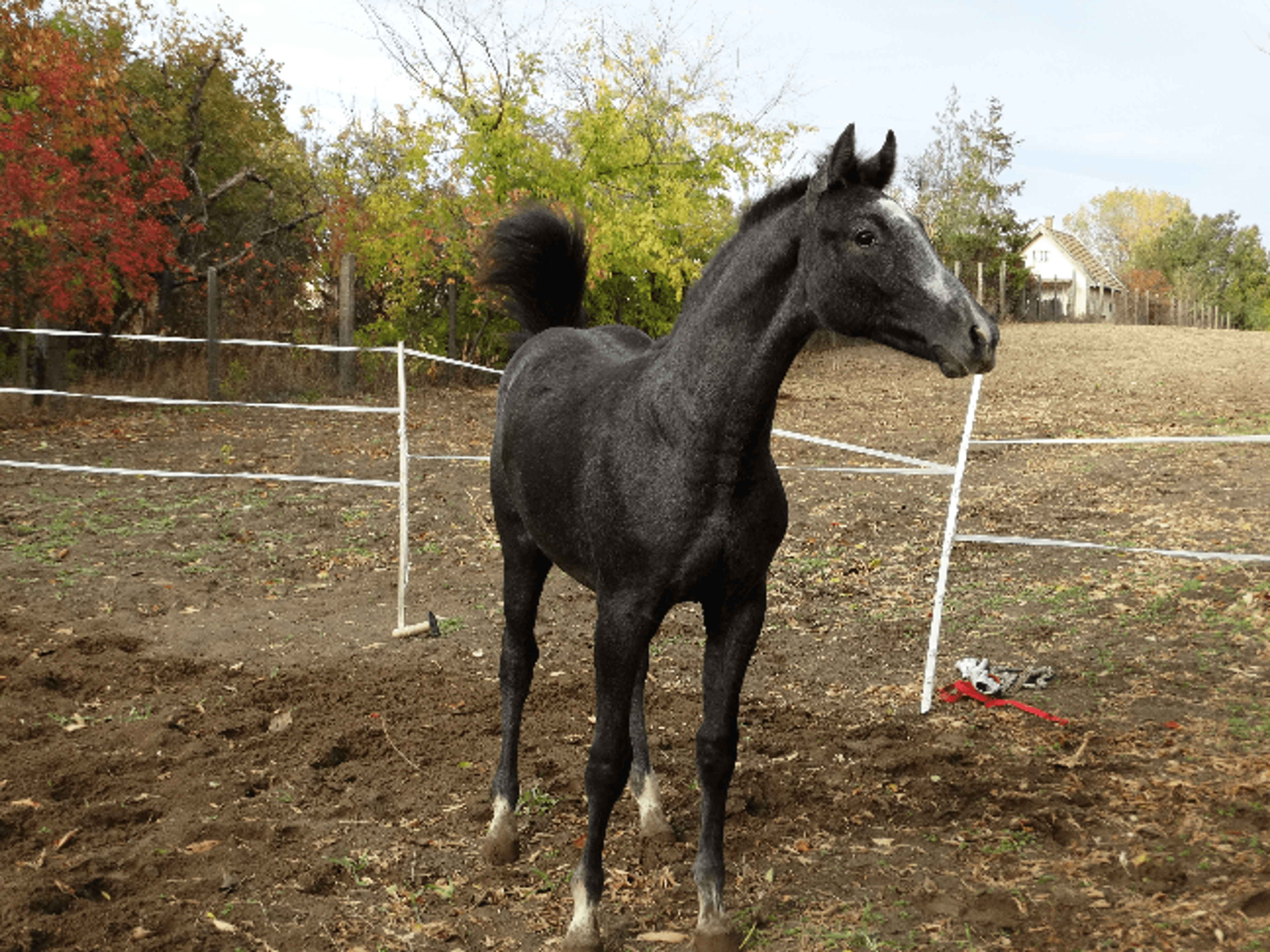 Port of Zenith - Image 9