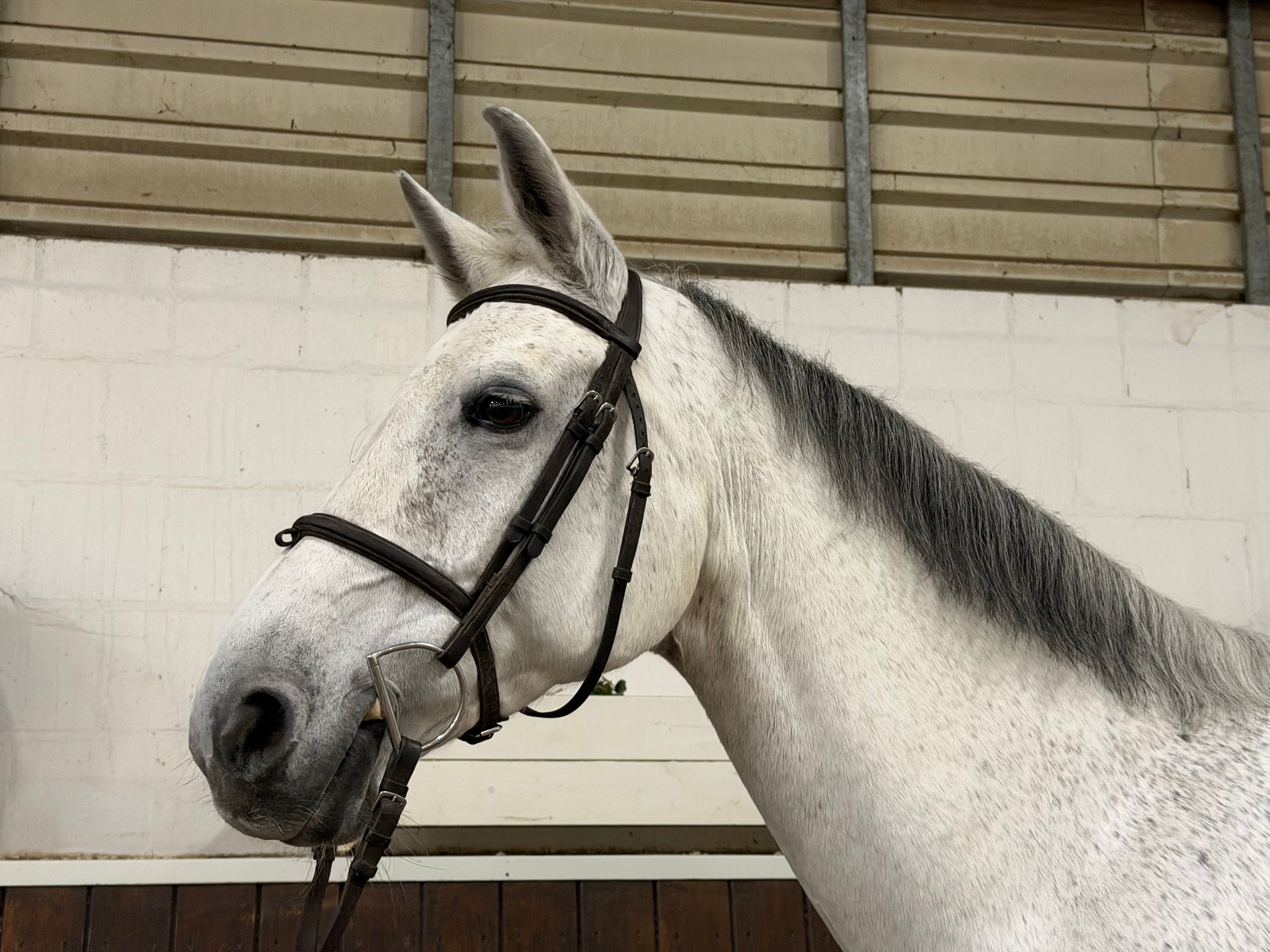 Panamera Z - Image 2