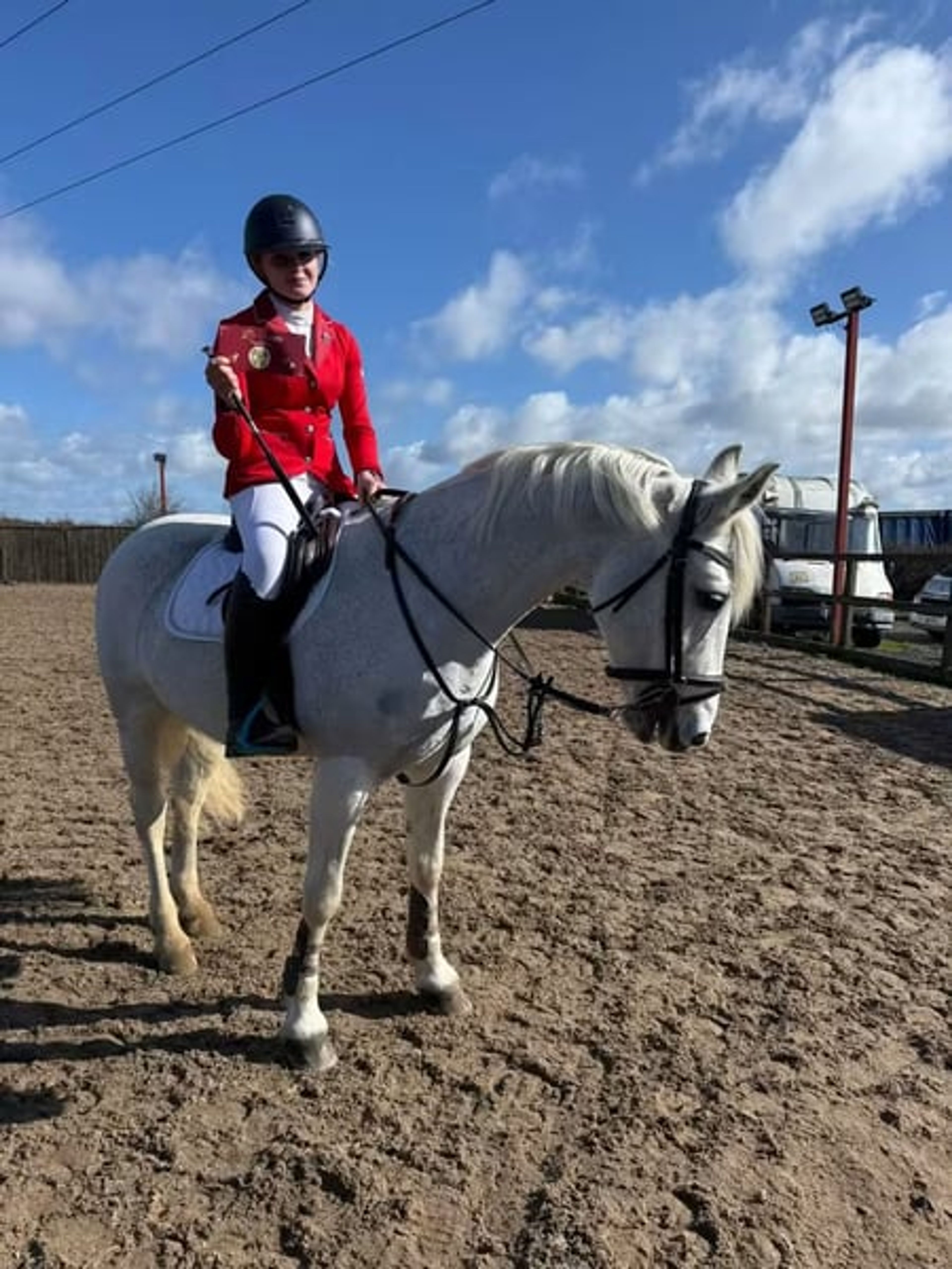 Safe 148cm Connemara Pony-8yo Confidence Giver & Family Allround
