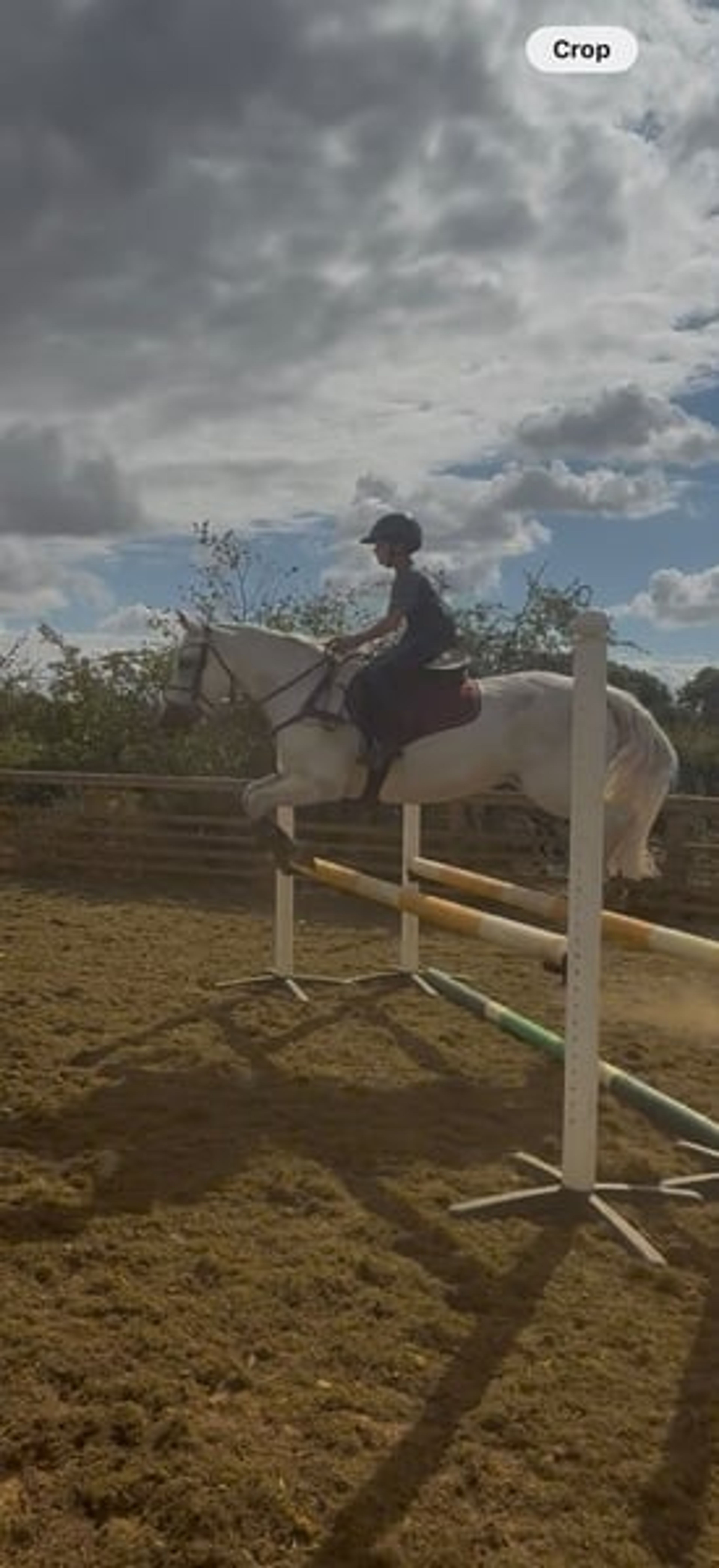 Safe 148cm Connemara Pony-8yo Confidence Giver & Family Allround - Image 6