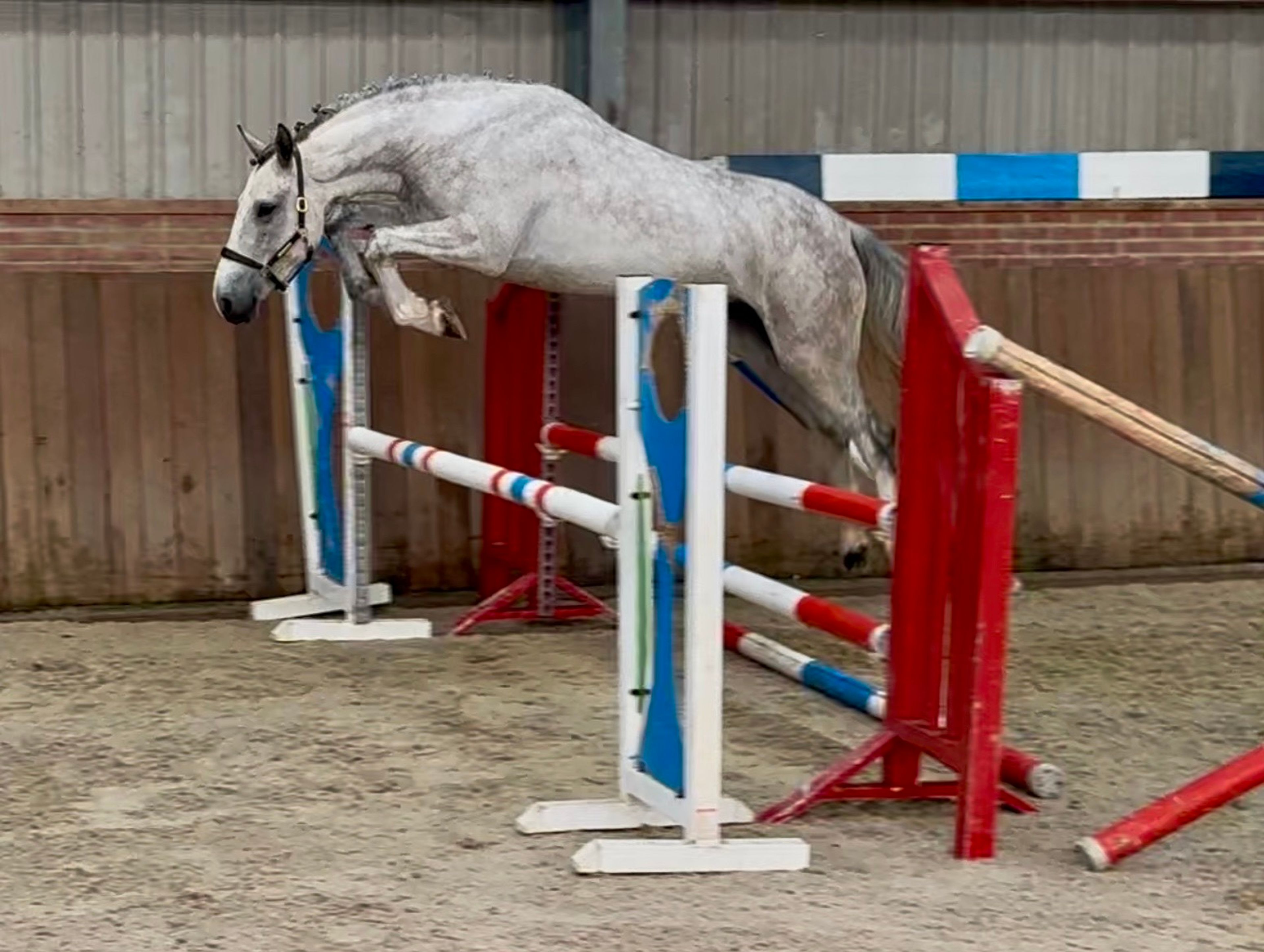 OAKHILL MCHUGH - Image 11