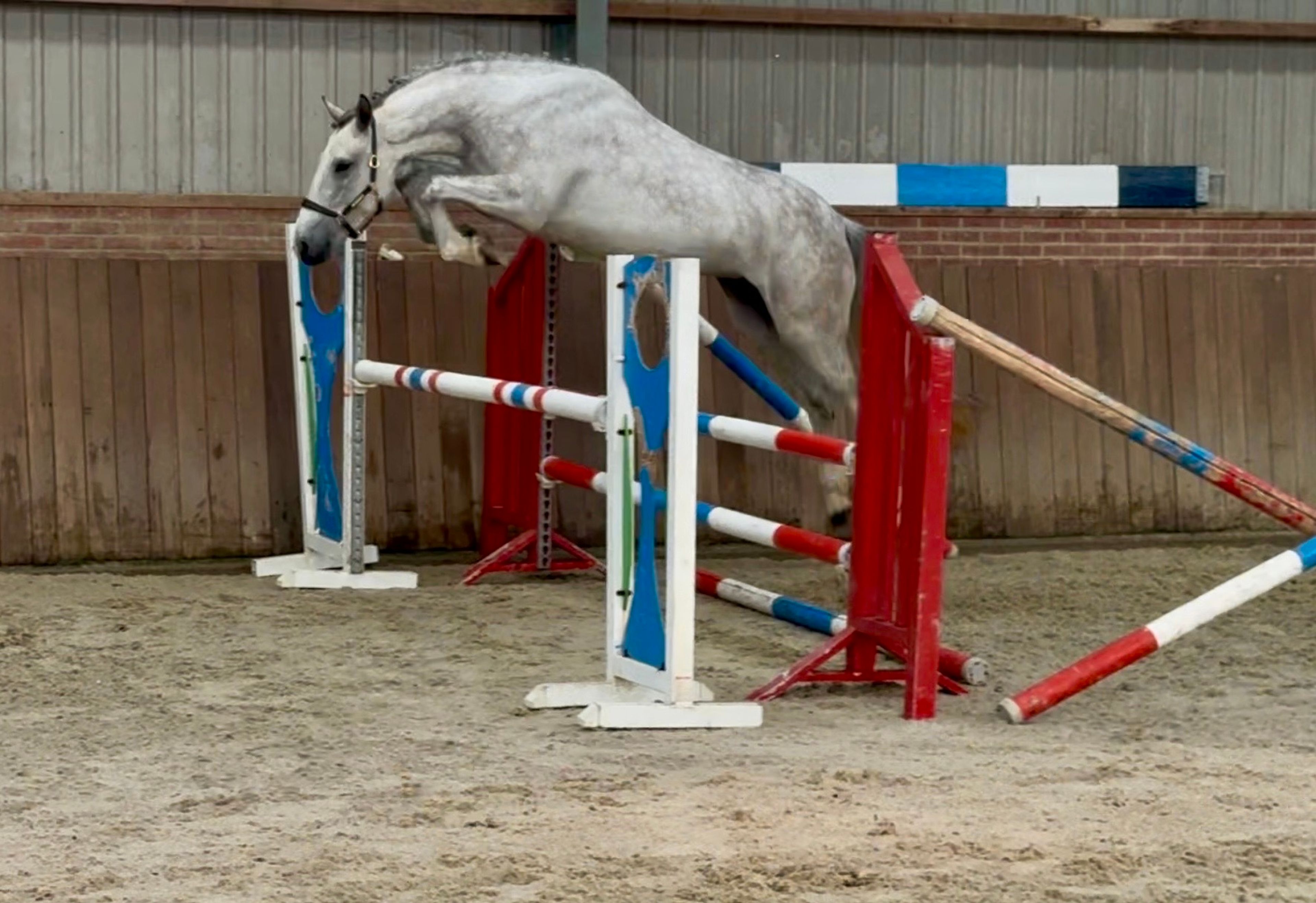 OAKHILL MCHUGH - Image 13
