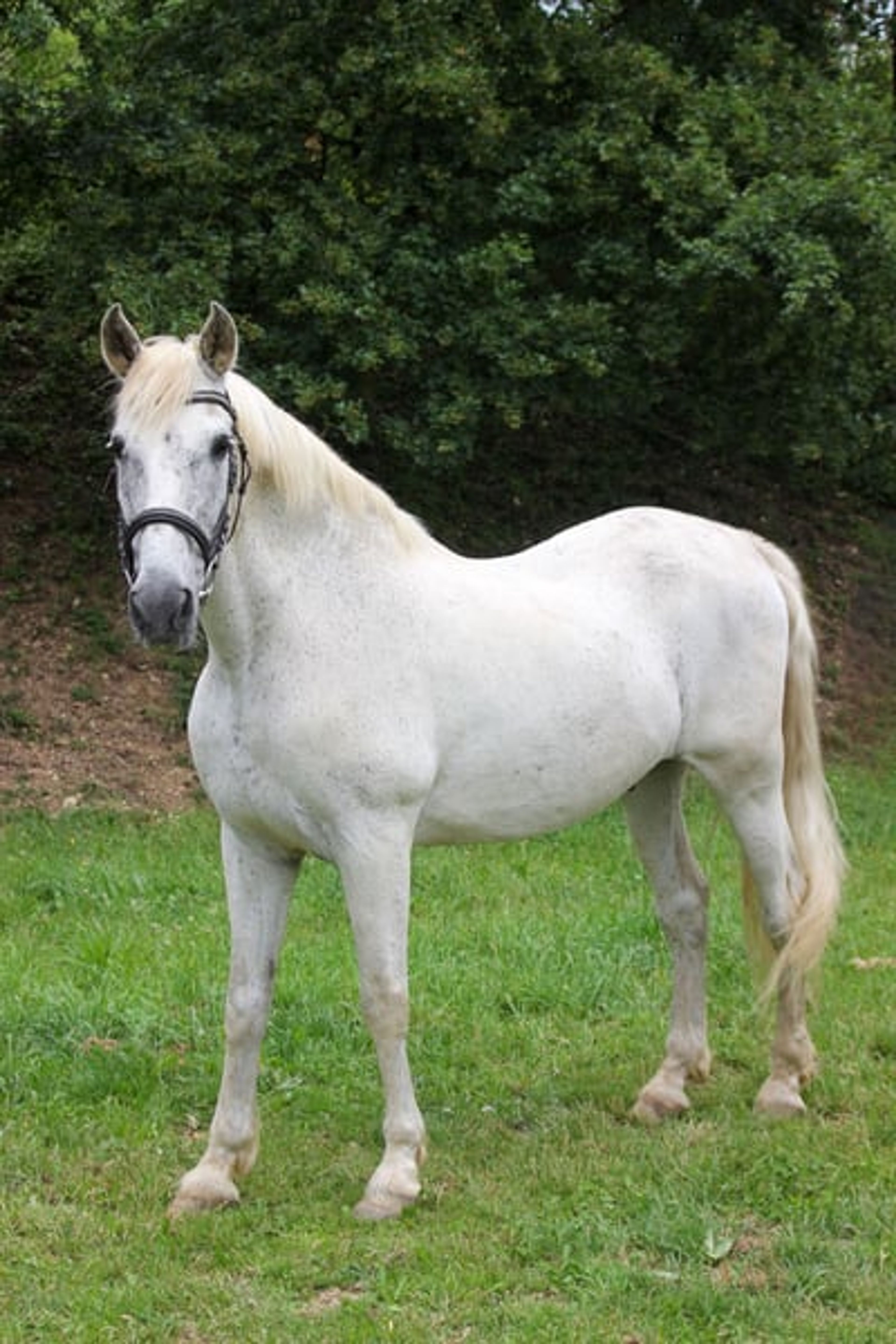 Urgently available! - Image 3