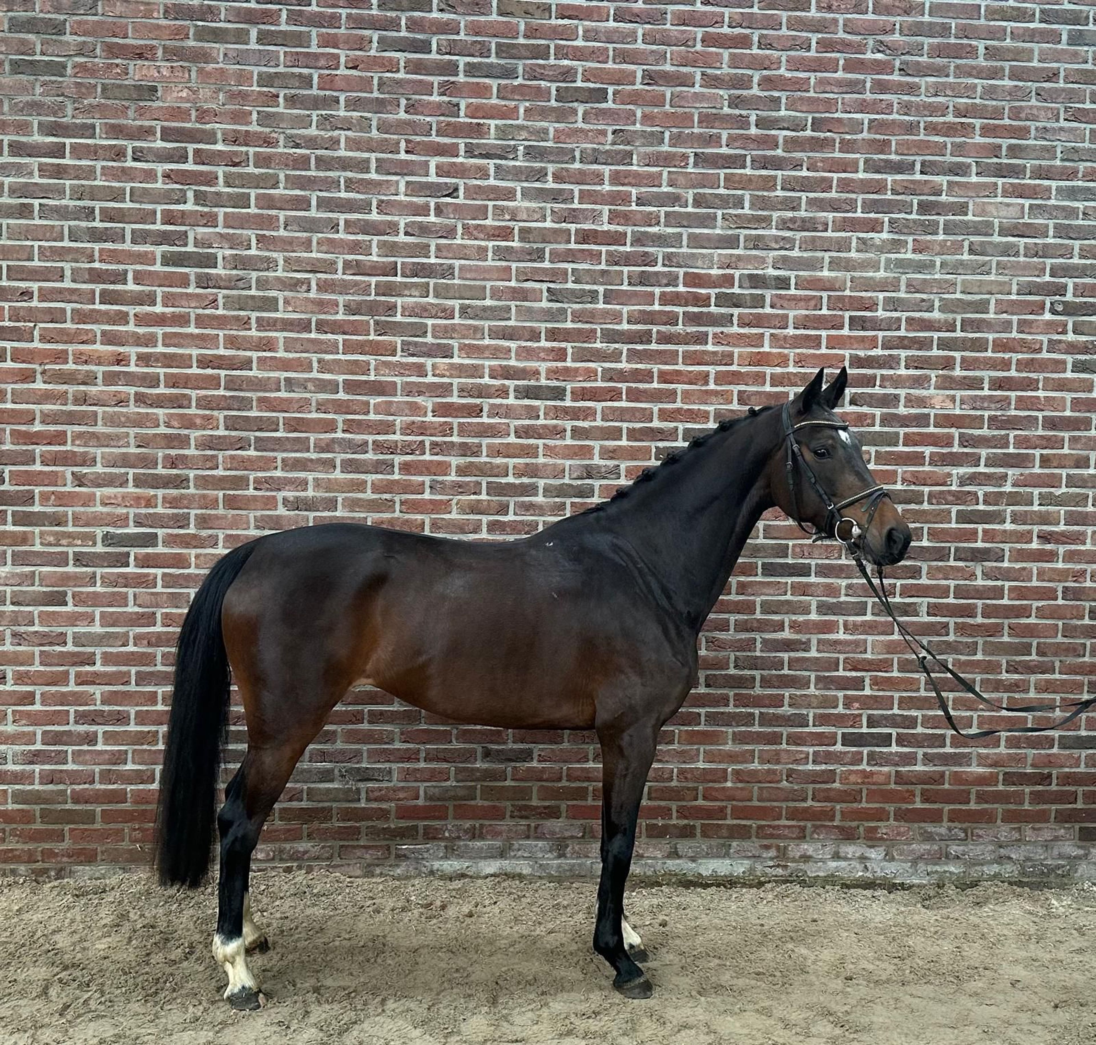 Rosaline's Utopia (DANTE US x LANCELOT) - Image 3