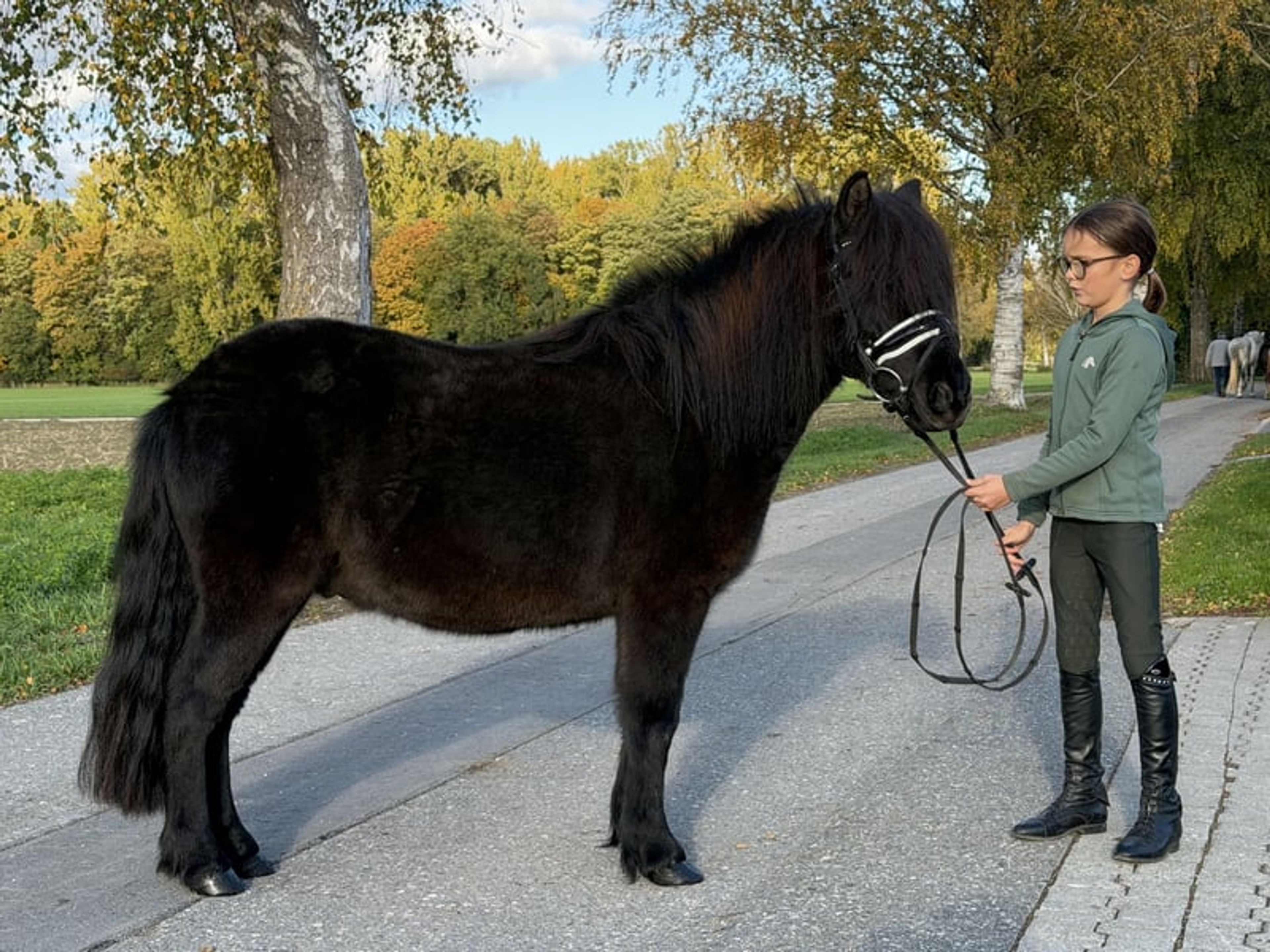 Well-built pony - Image 7