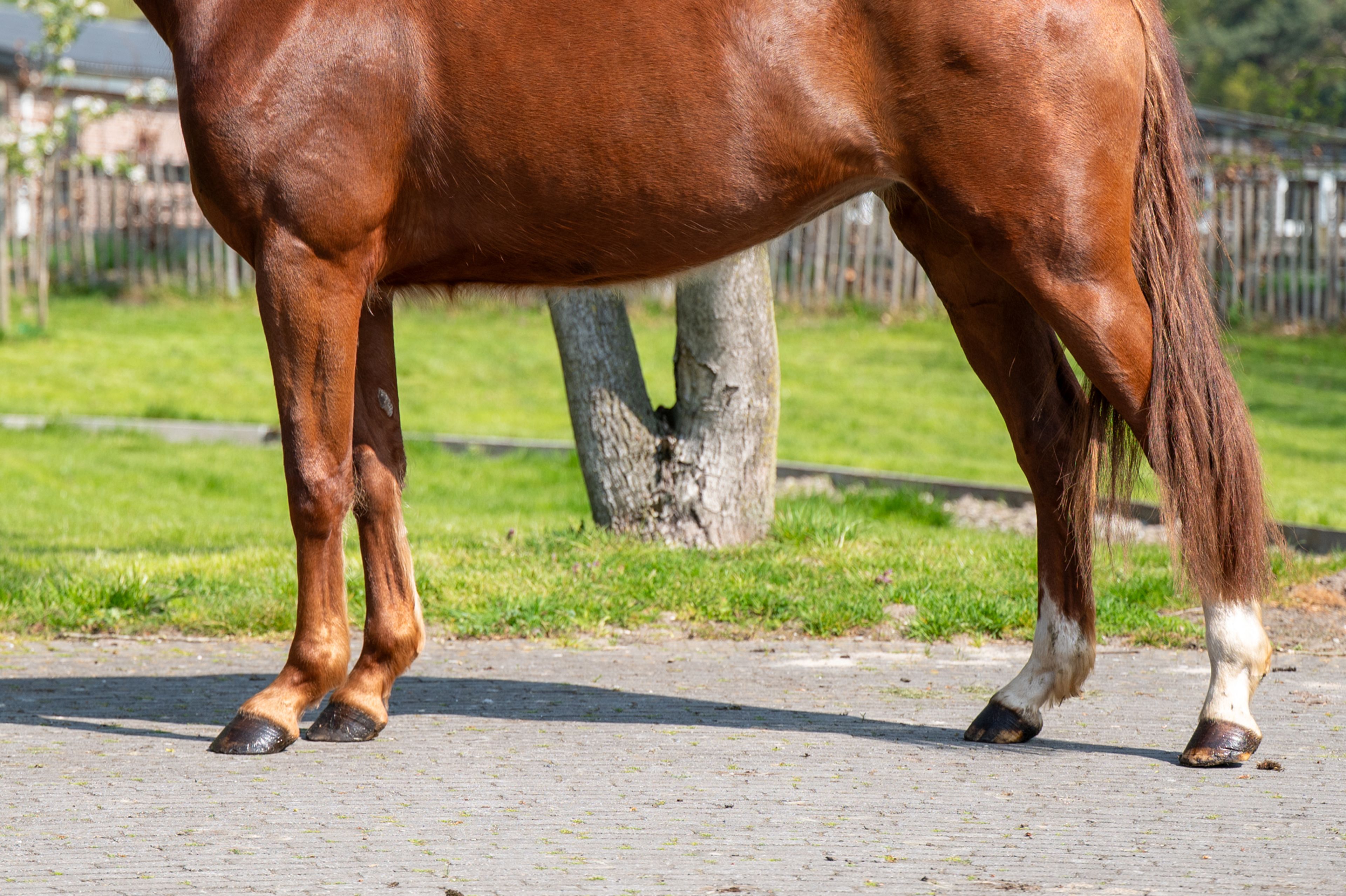 The Flashmob vd Toem (FLASHBANG x ROHDIAMANT) - Image 6