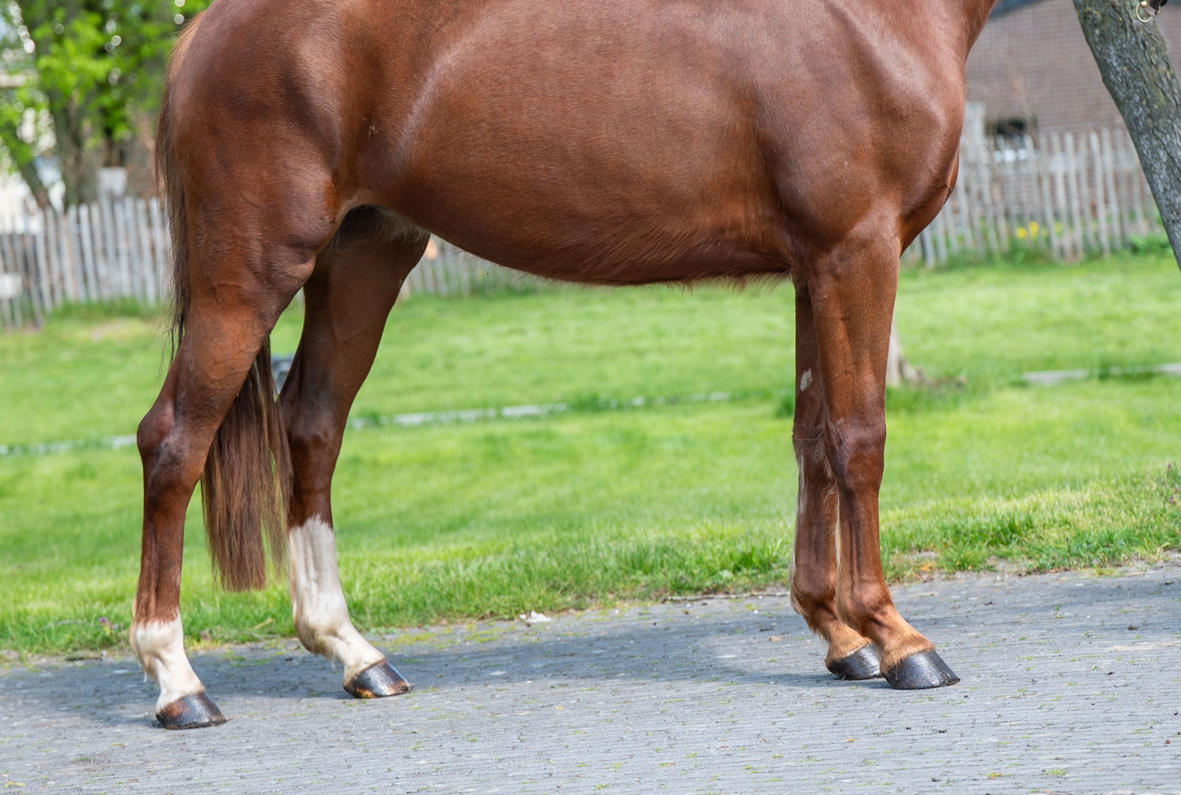 The Flashmob vd Toem (FLASHBANG x ROHDIAMANT) - Image 7