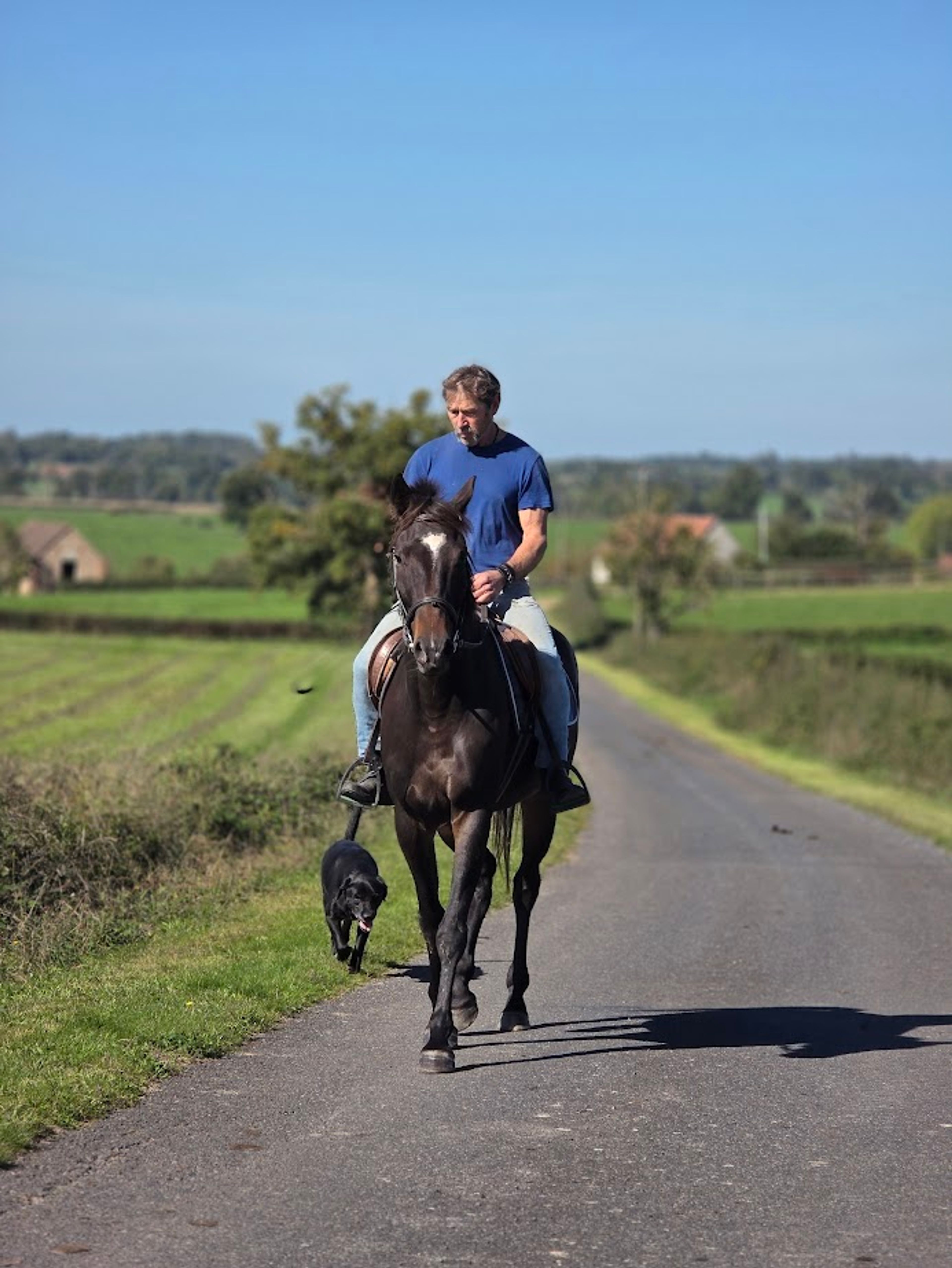 KING CLEVER - Image 3