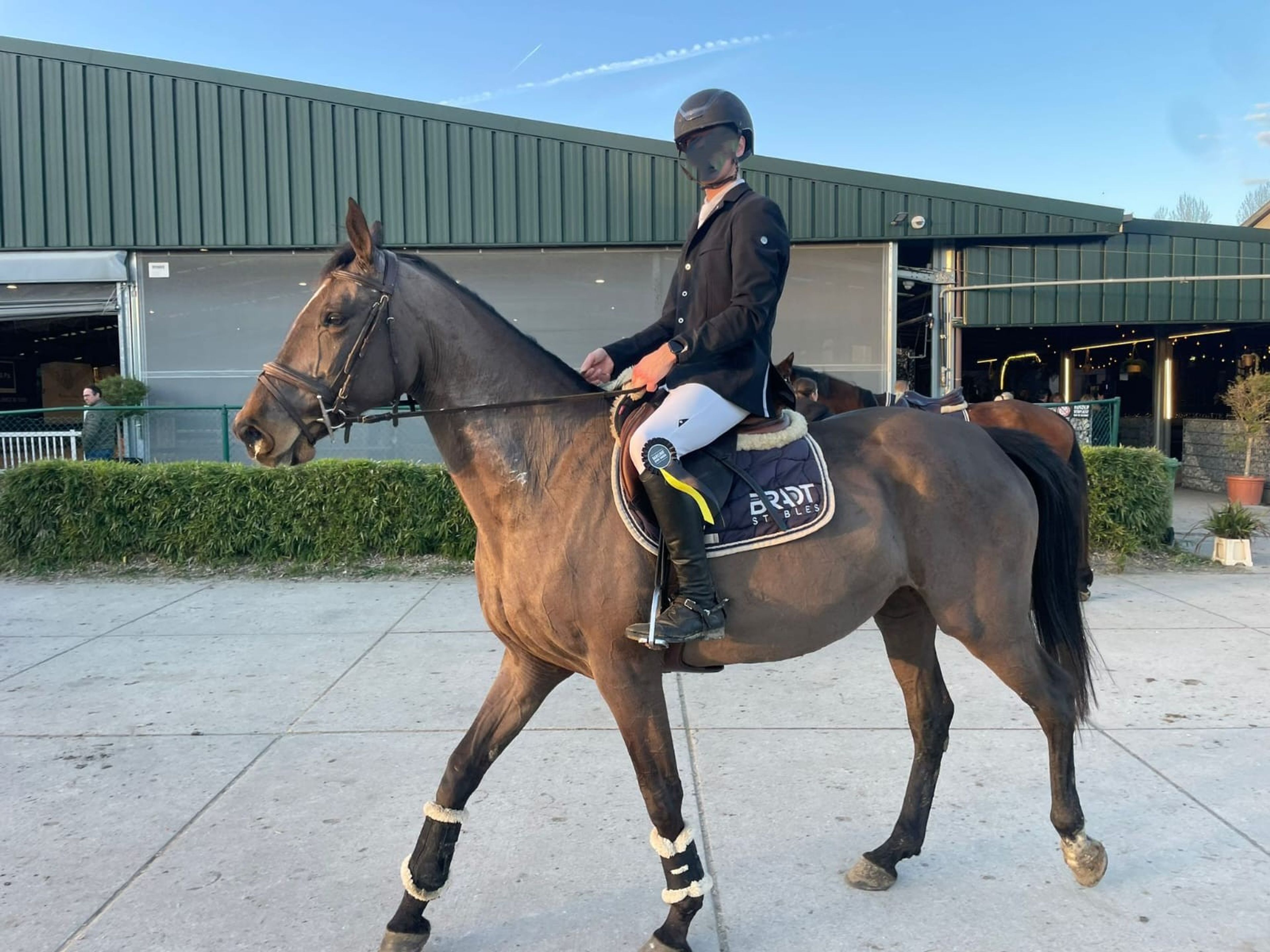 Hivolet Van Beek ☆ (COCONUT GROVE XX  x INDOCTRO) - Image 2