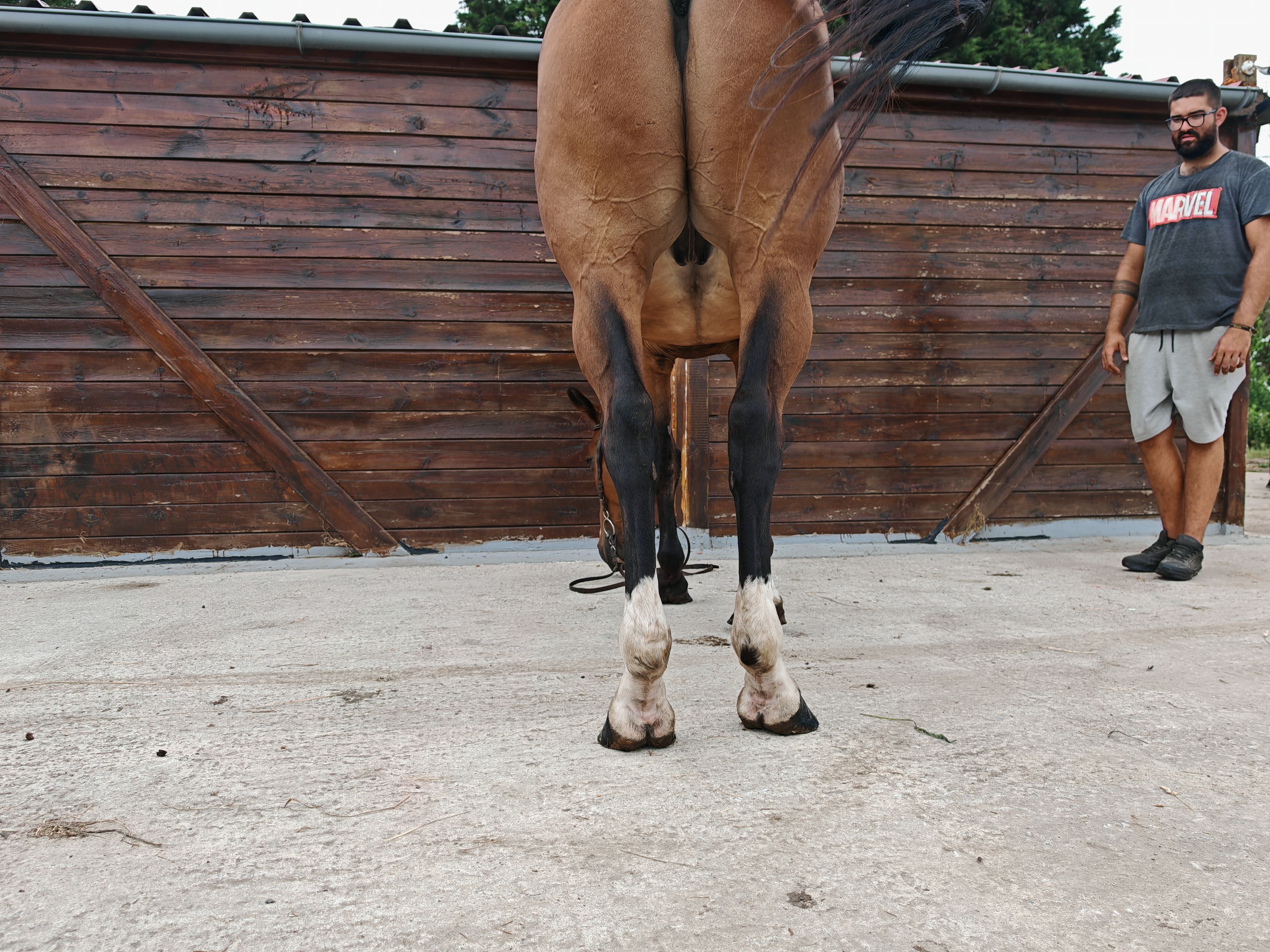 My Boy Diadal ☆ (JACKPOT x COLLADO) - Image 5