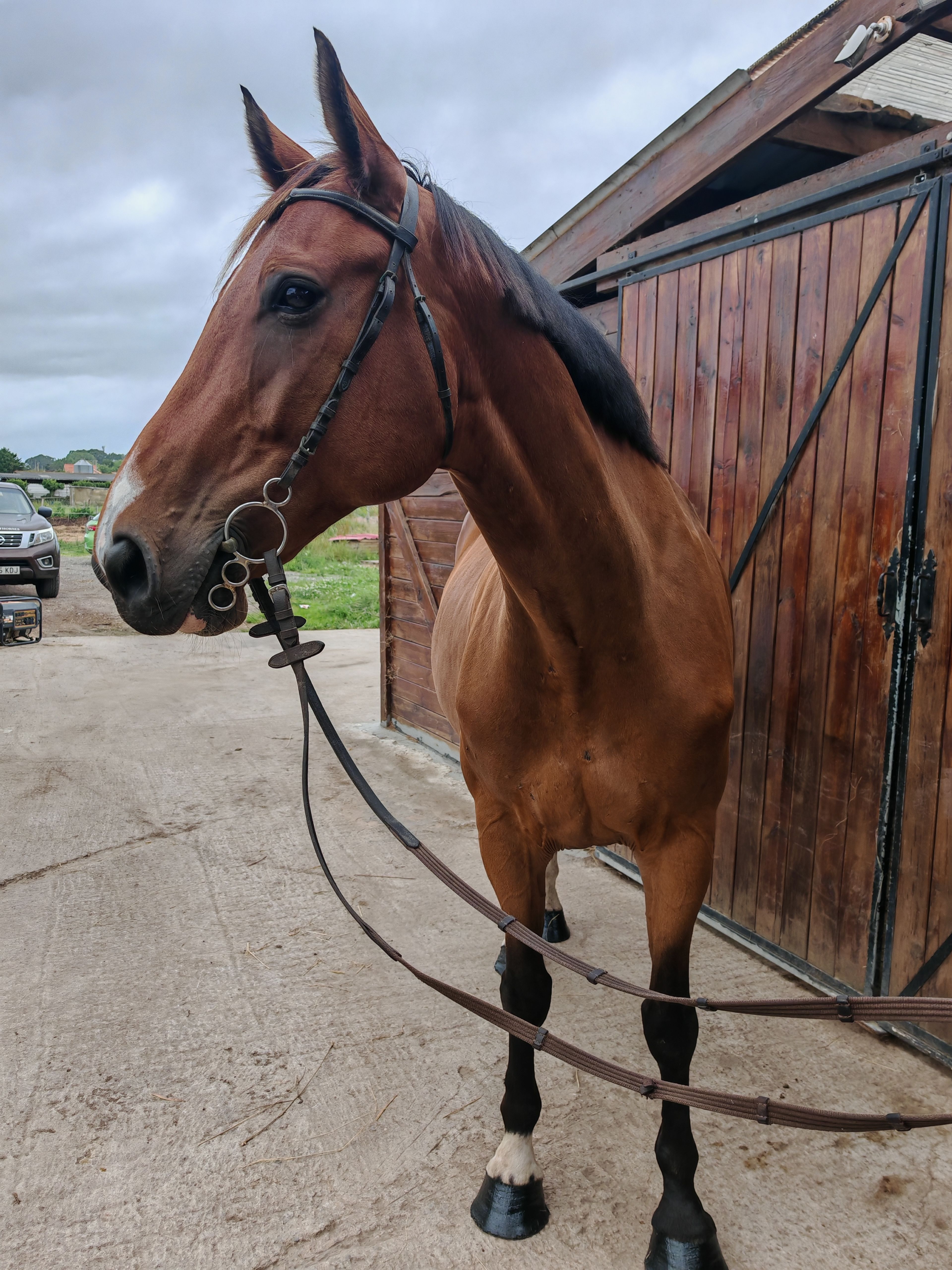 My Boy Diadal ☆ (JACKPOT x COLLADO) - Image 11