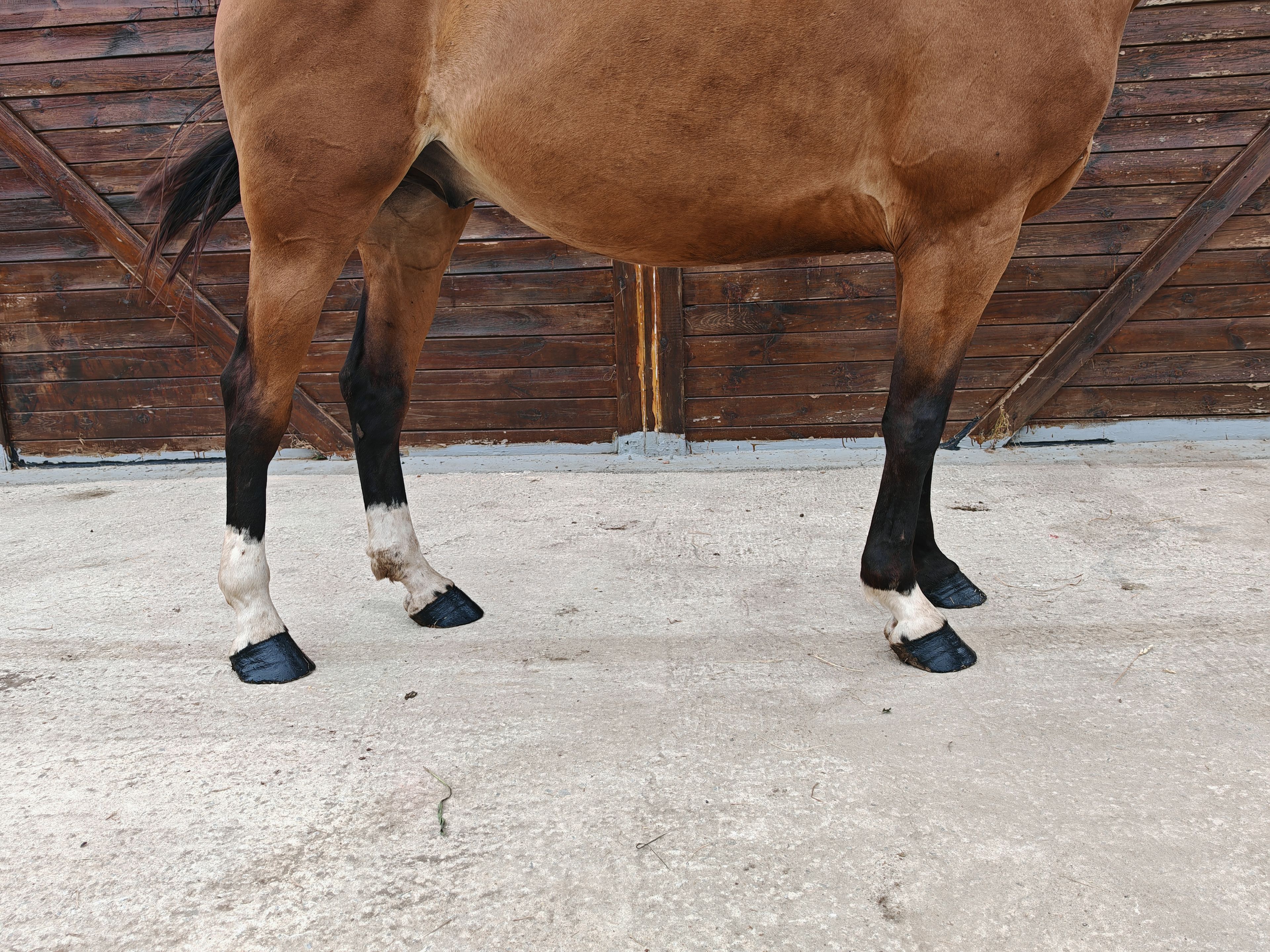 My Boy Diadal ☆ (JACKPOT x COLLADO) - Image 12