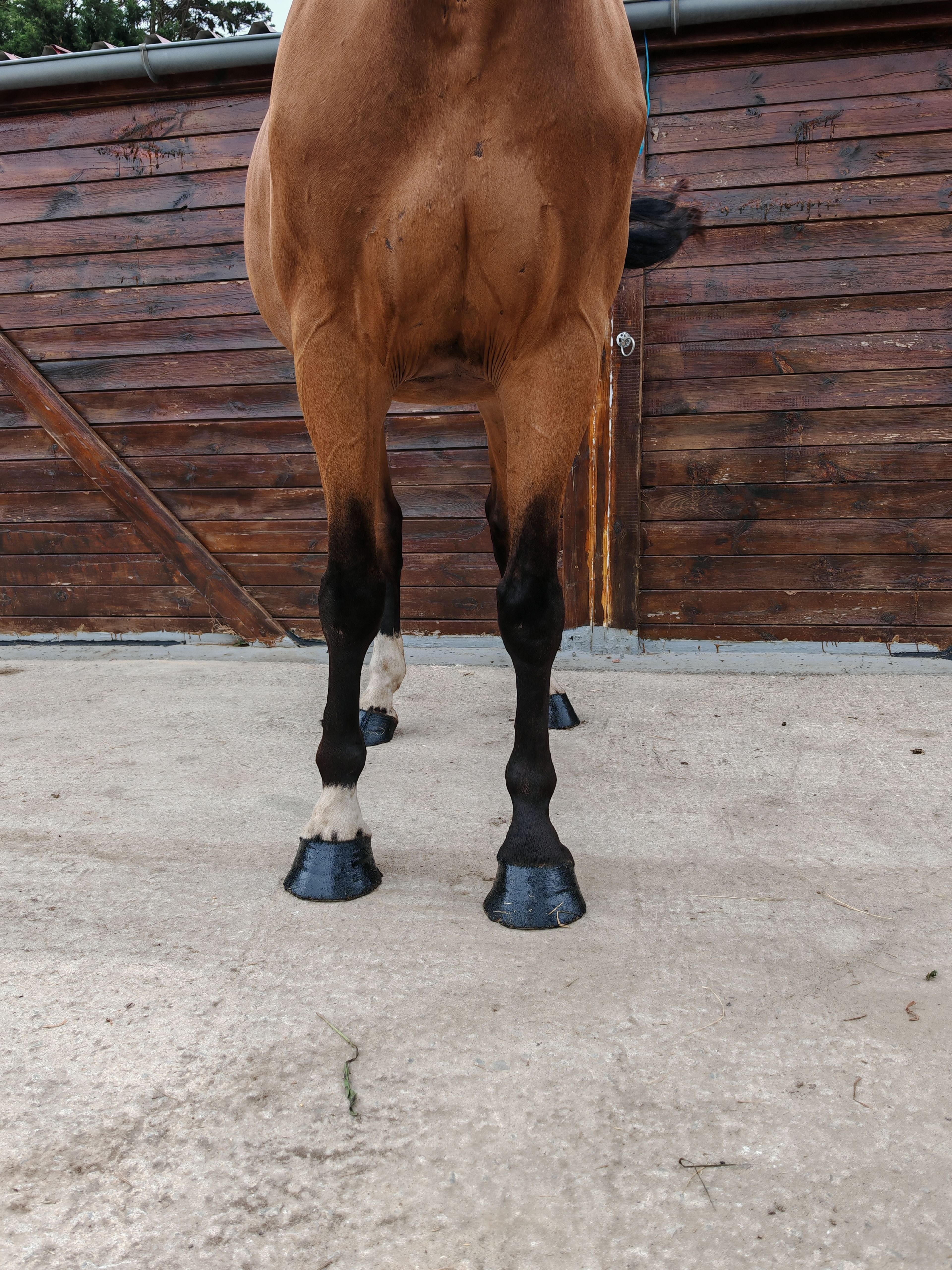 My Boy Diadal ☆ (JACKPOT x COLLADO) - Image 13