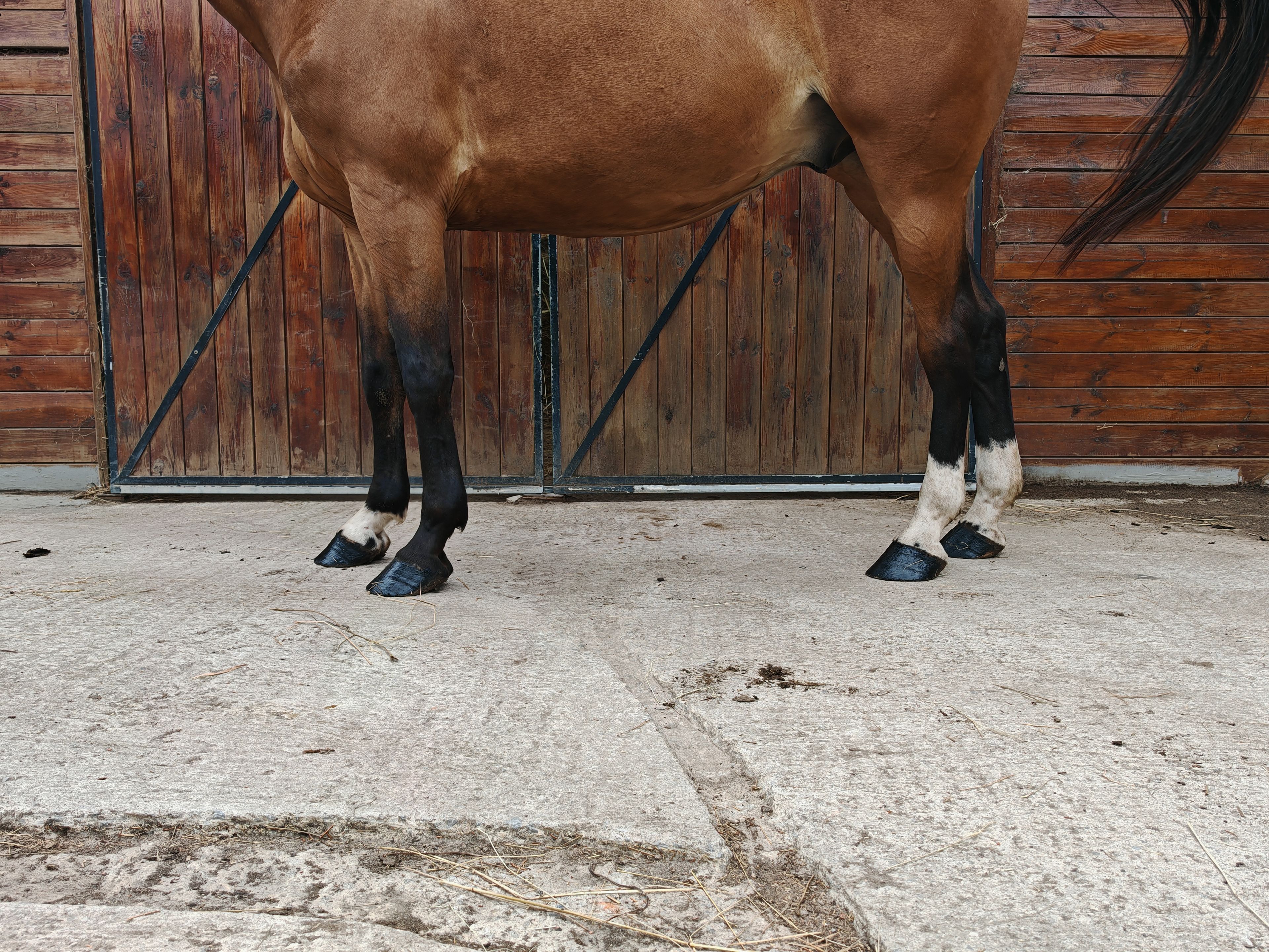 My Boy Diadal ☆ (JACKPOT x COLLADO) - Image 14