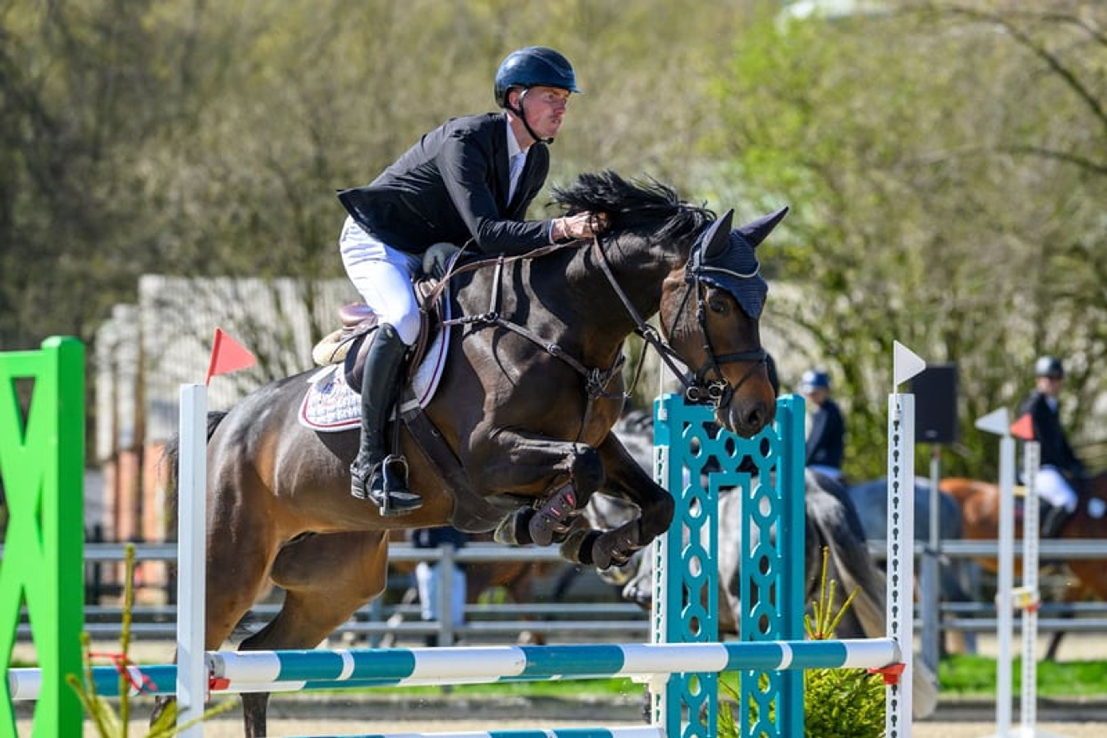 Talent meets rideability! Excellent young show jumping horse - Image 2